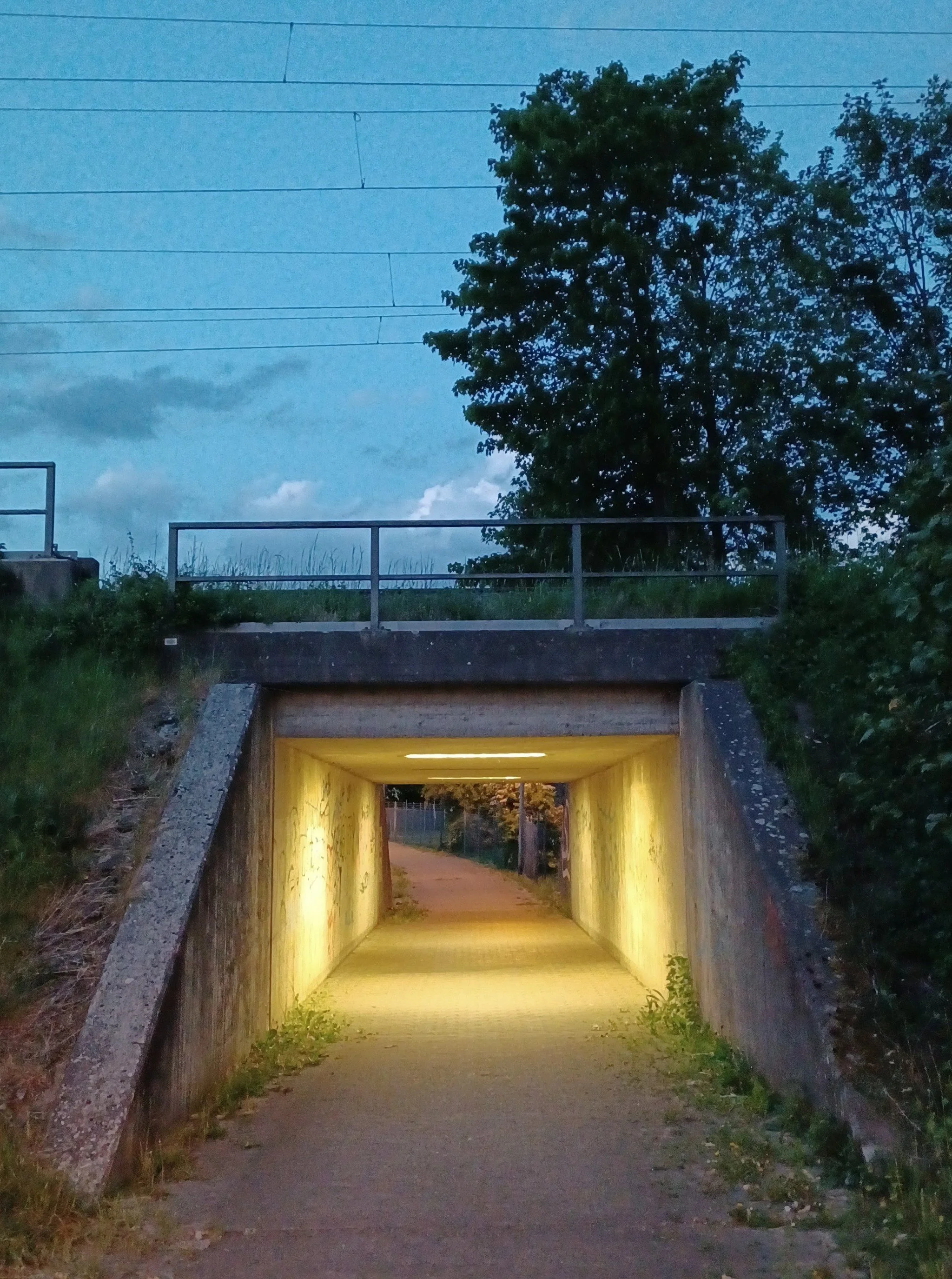 20220511_hidden magritte II.jpg