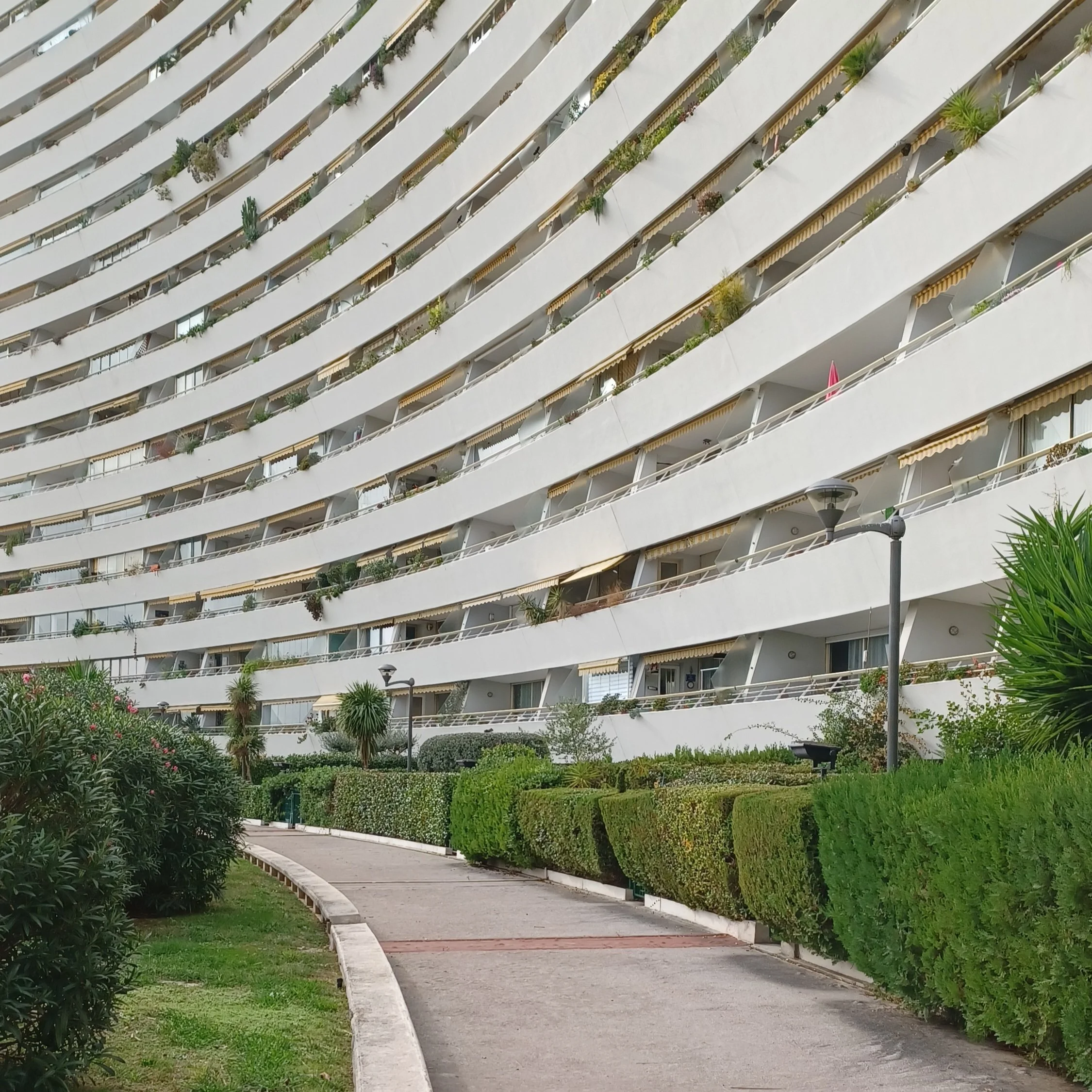 betontulpen PARADIS (5).jpg