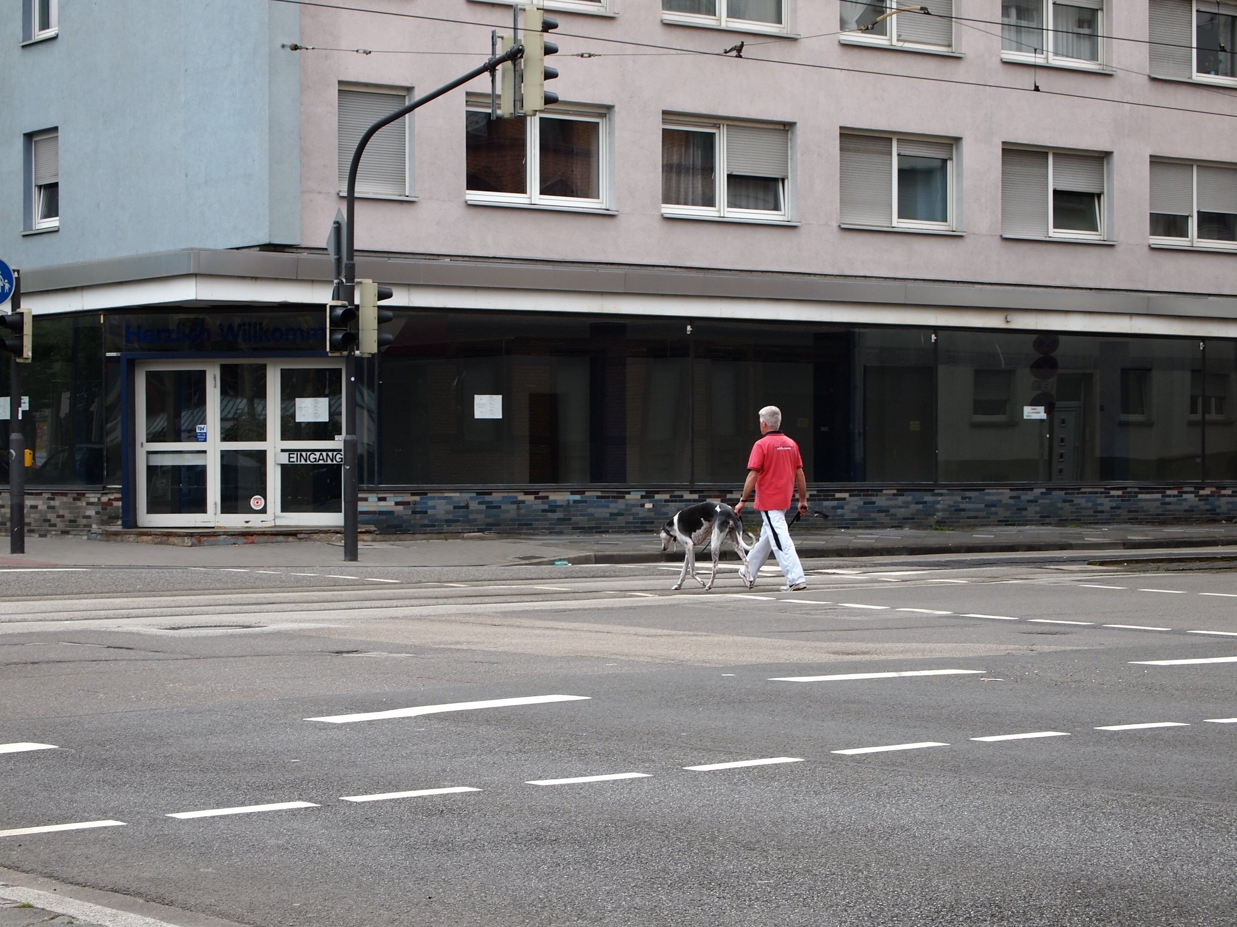 betontulpen SOLITUDE (25).jpg