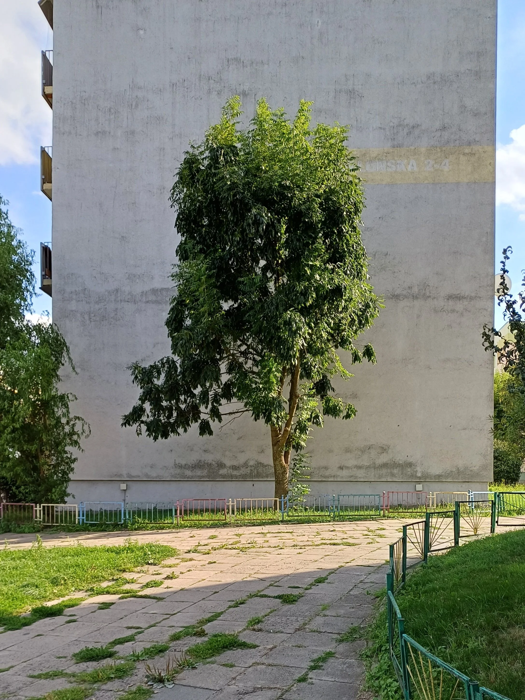 PR Trees I 40x50.jpg
