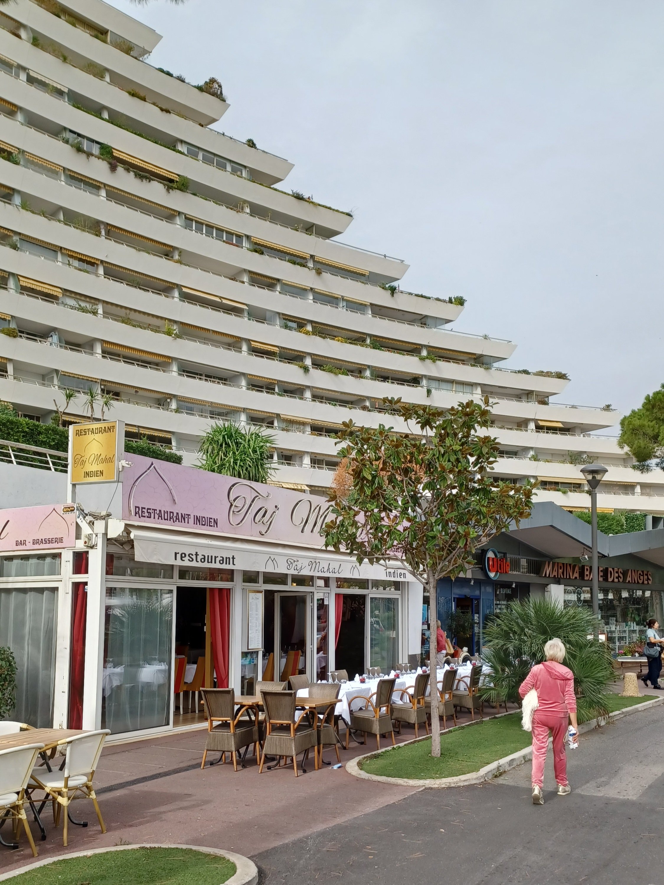 betontulpen PARADIS (1).jpg