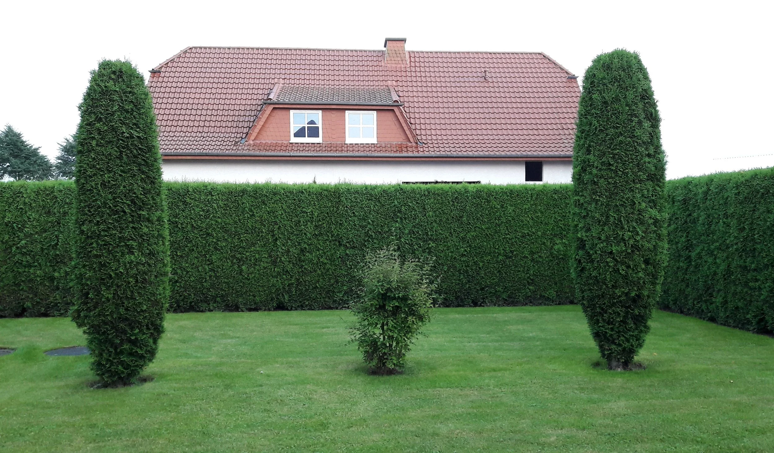 betontulpen HEIMAT (16).jpg