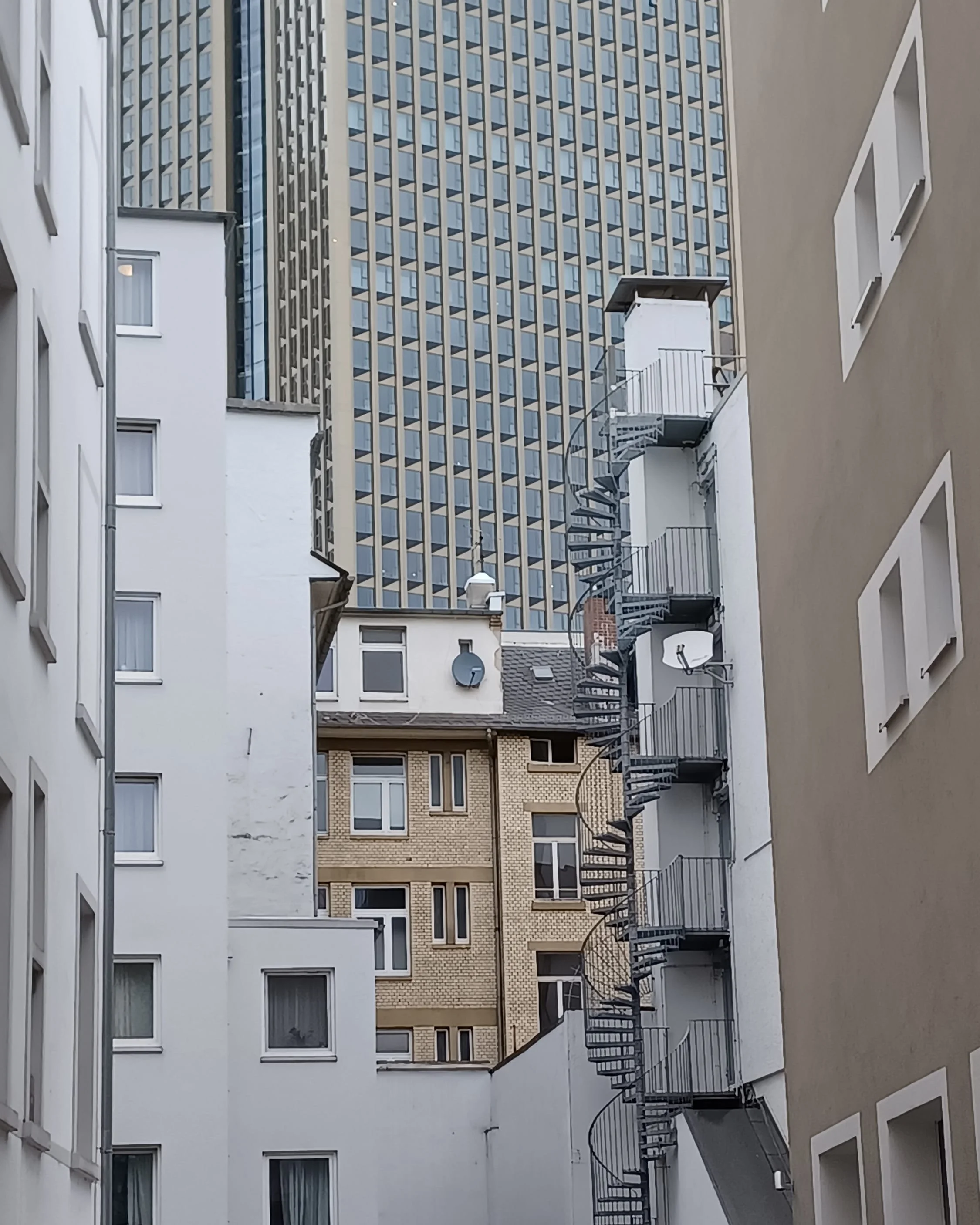 betontulpen SOLITUDE (35).jpg