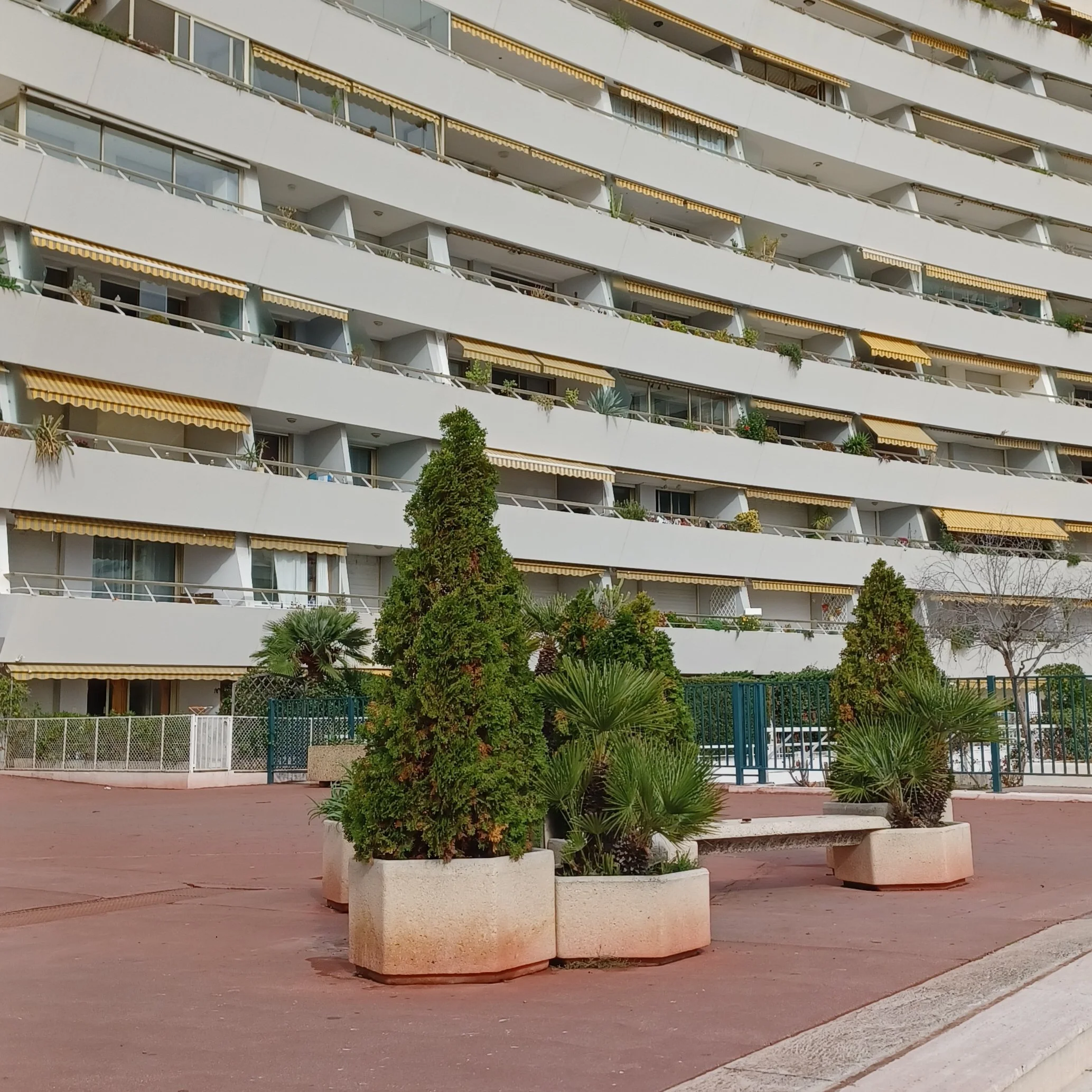 20221023_marina life i.jpg