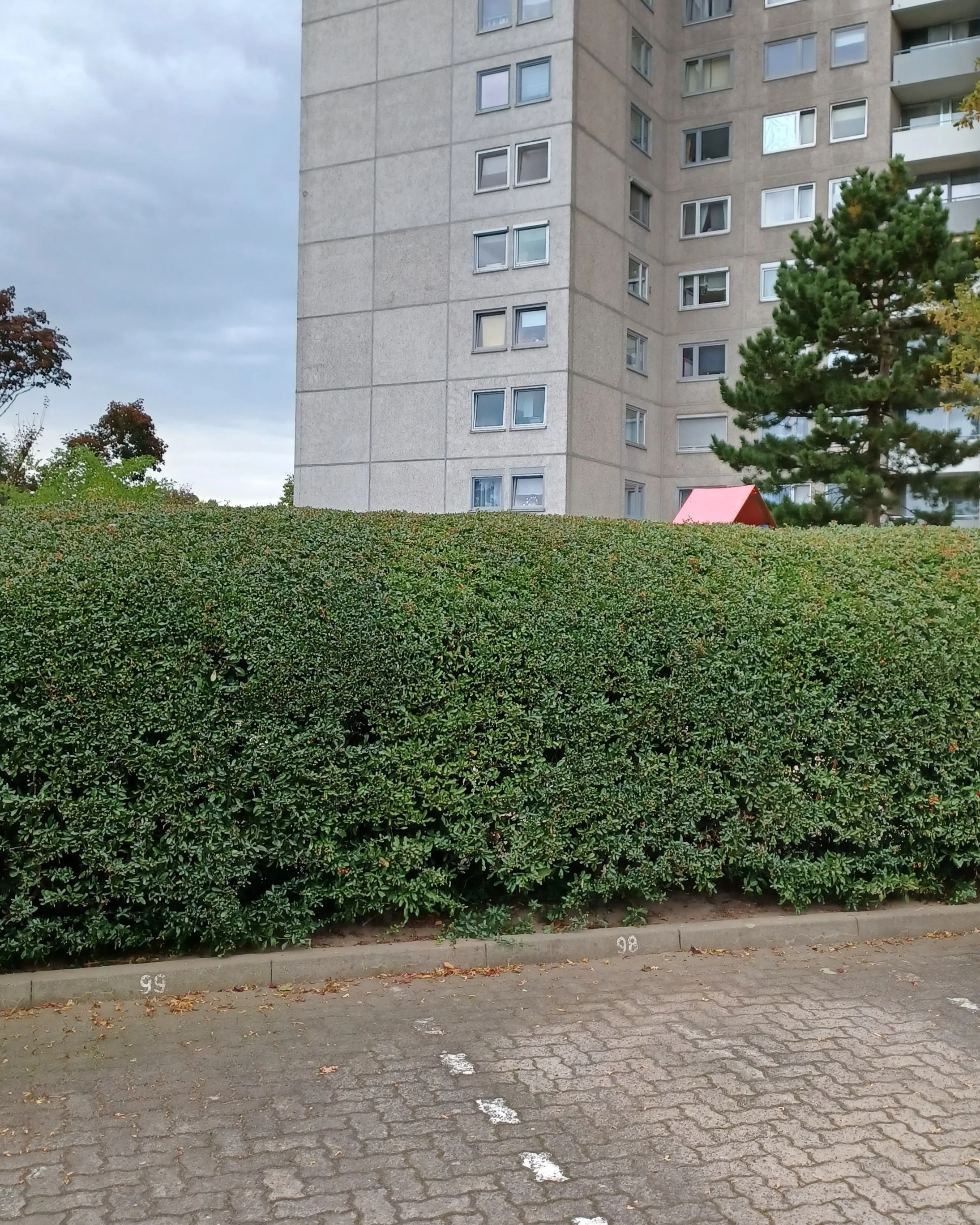 betontulpen SOLITUDE (37).jpg