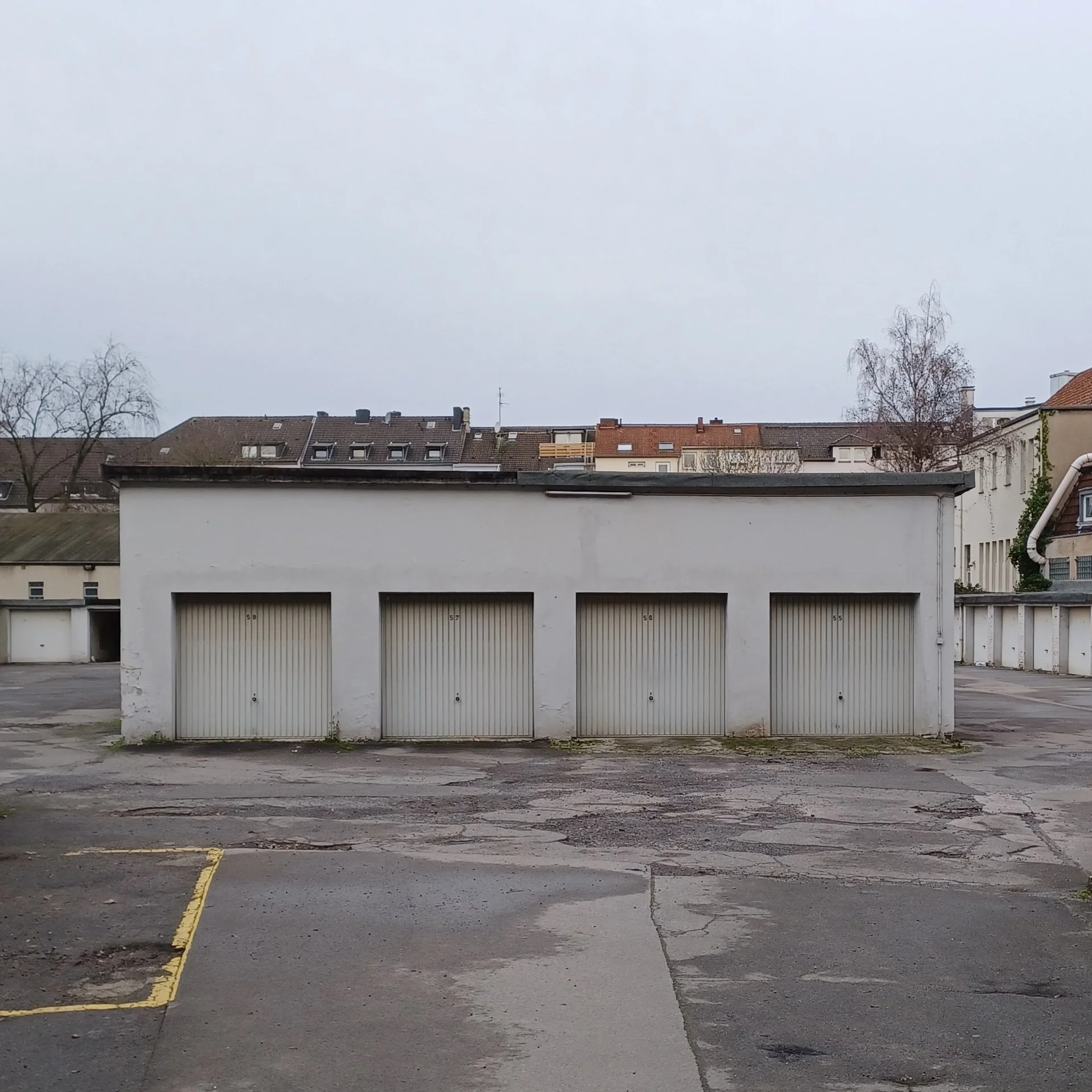 betontulpen SOLITUDE (5).jpg