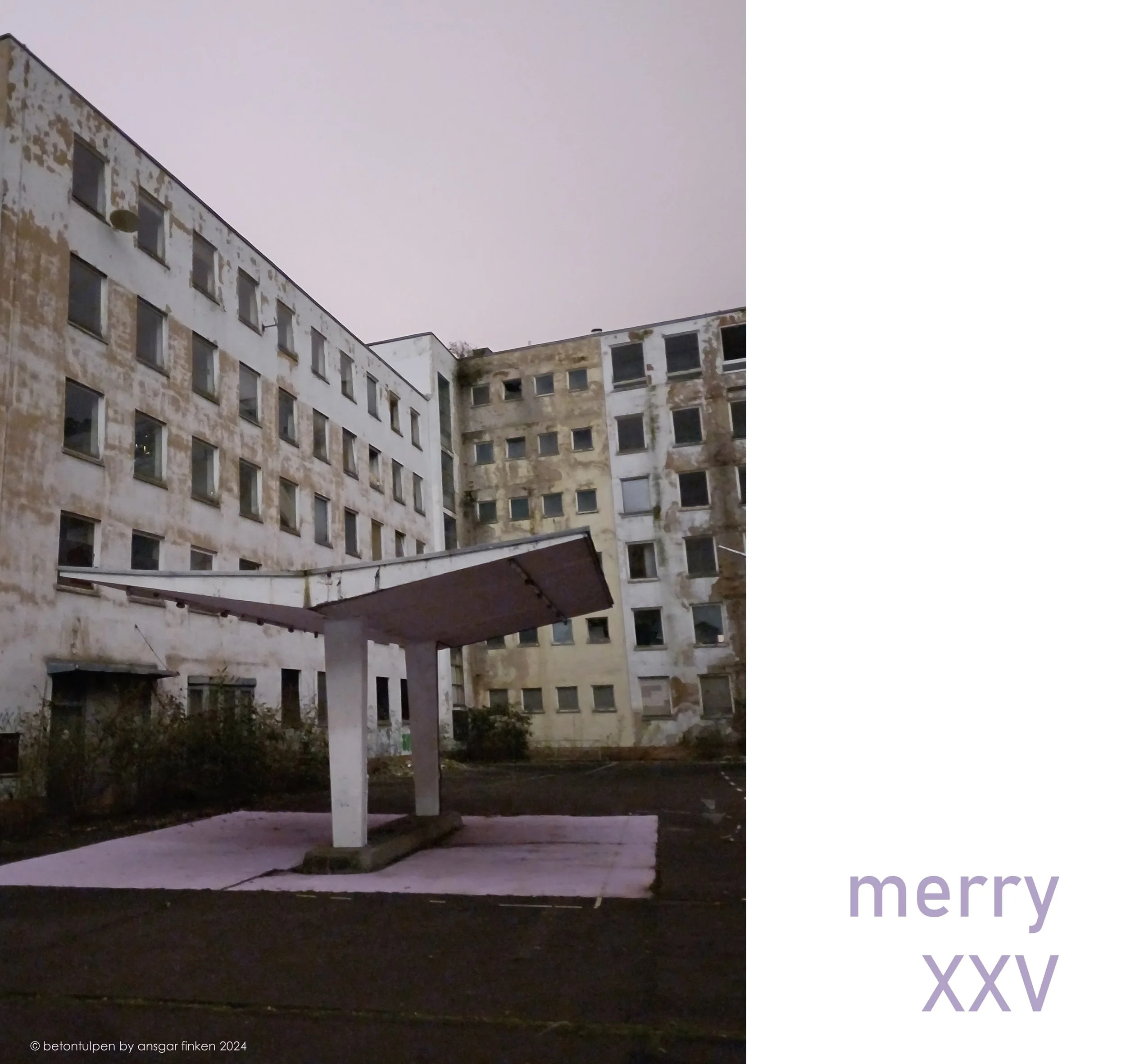 xmas24.jpg