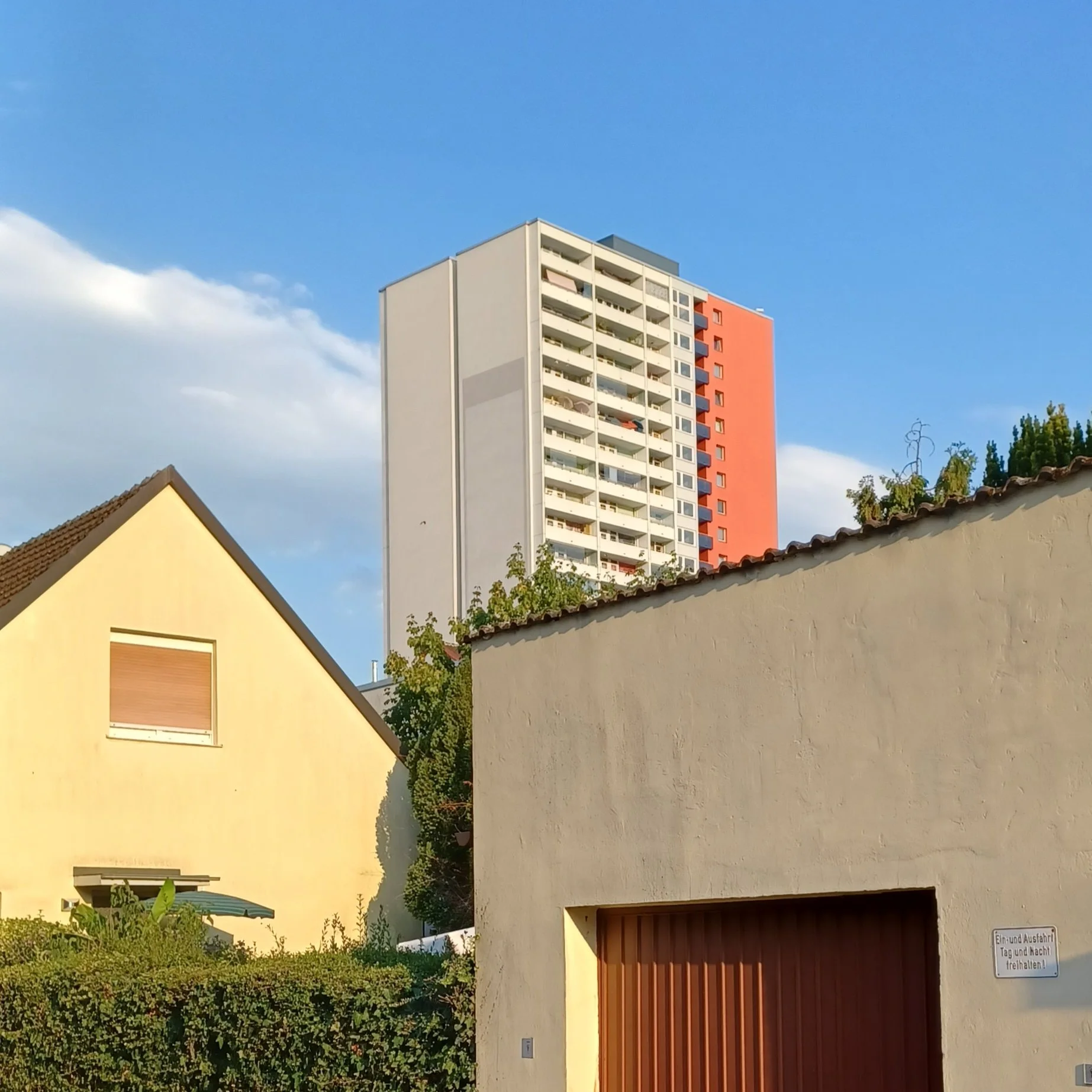 betontulpen HEIMAT (1).jpg
