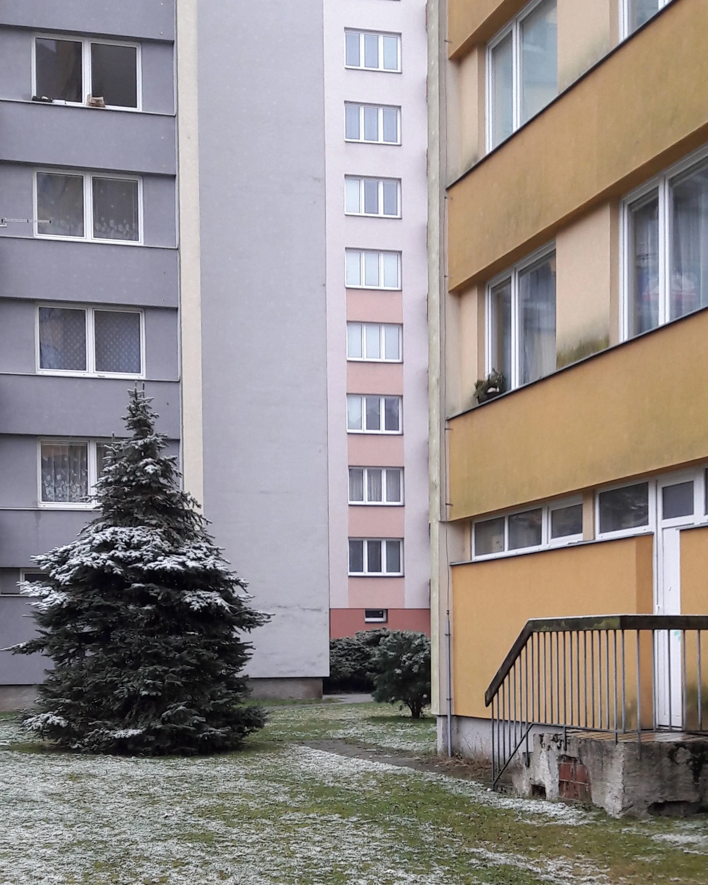 betontulpen SOLITUDE (23).jpg