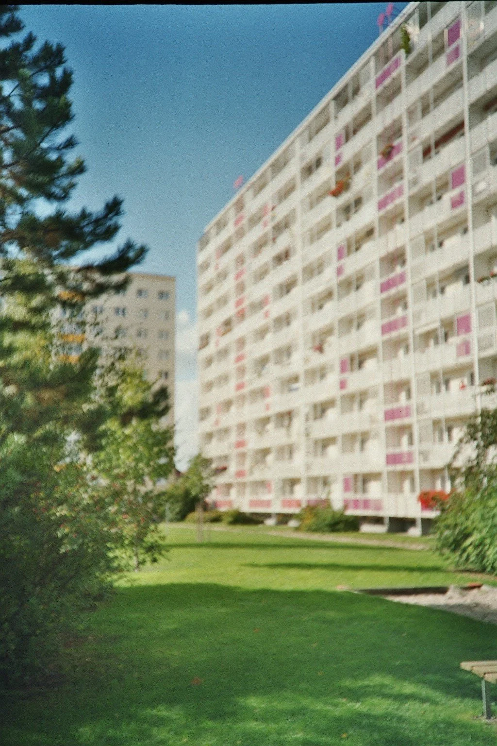 betontulpen VINTAGE (3).jpg