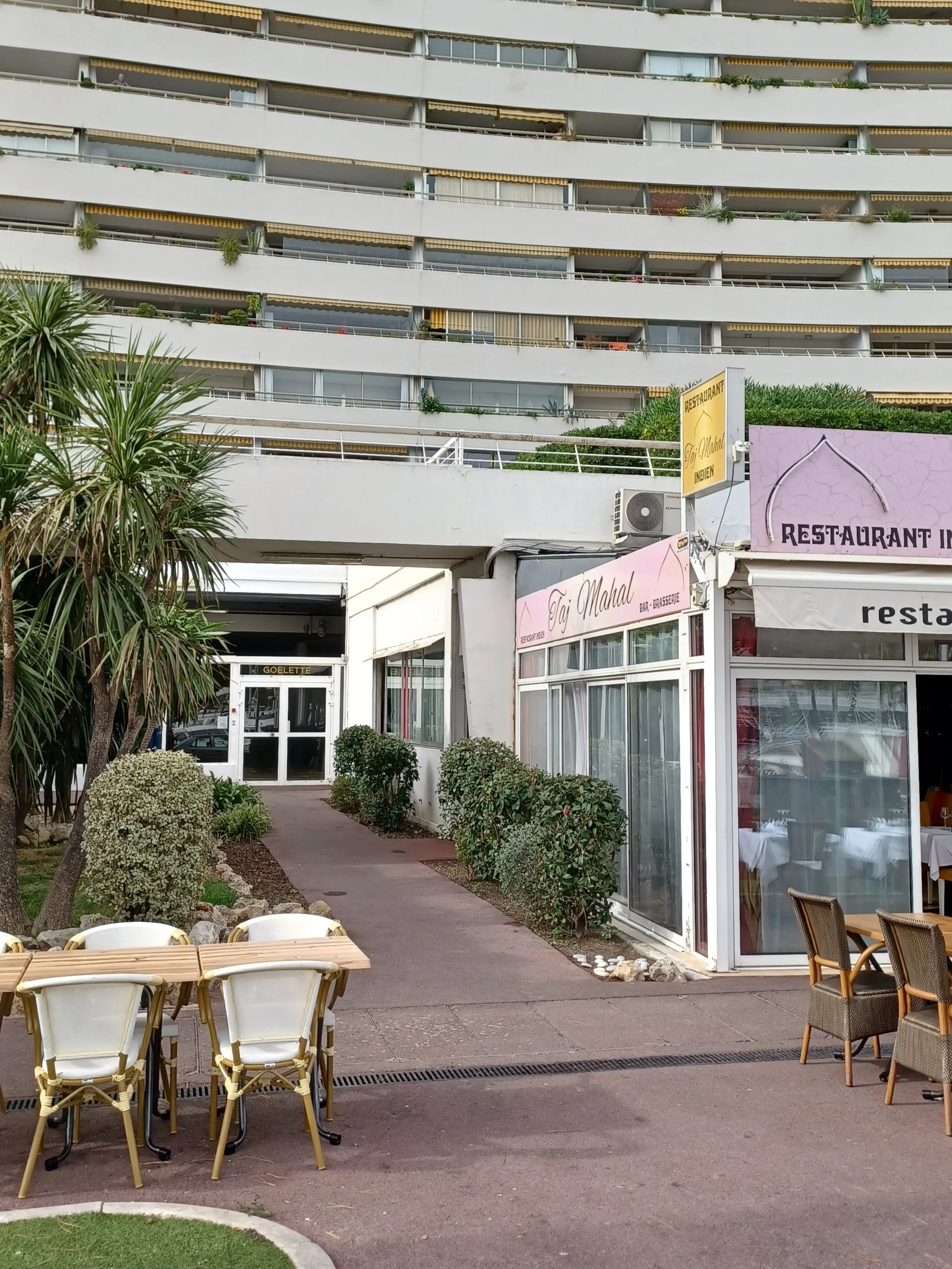betontulpen PARADIS (2).jpg