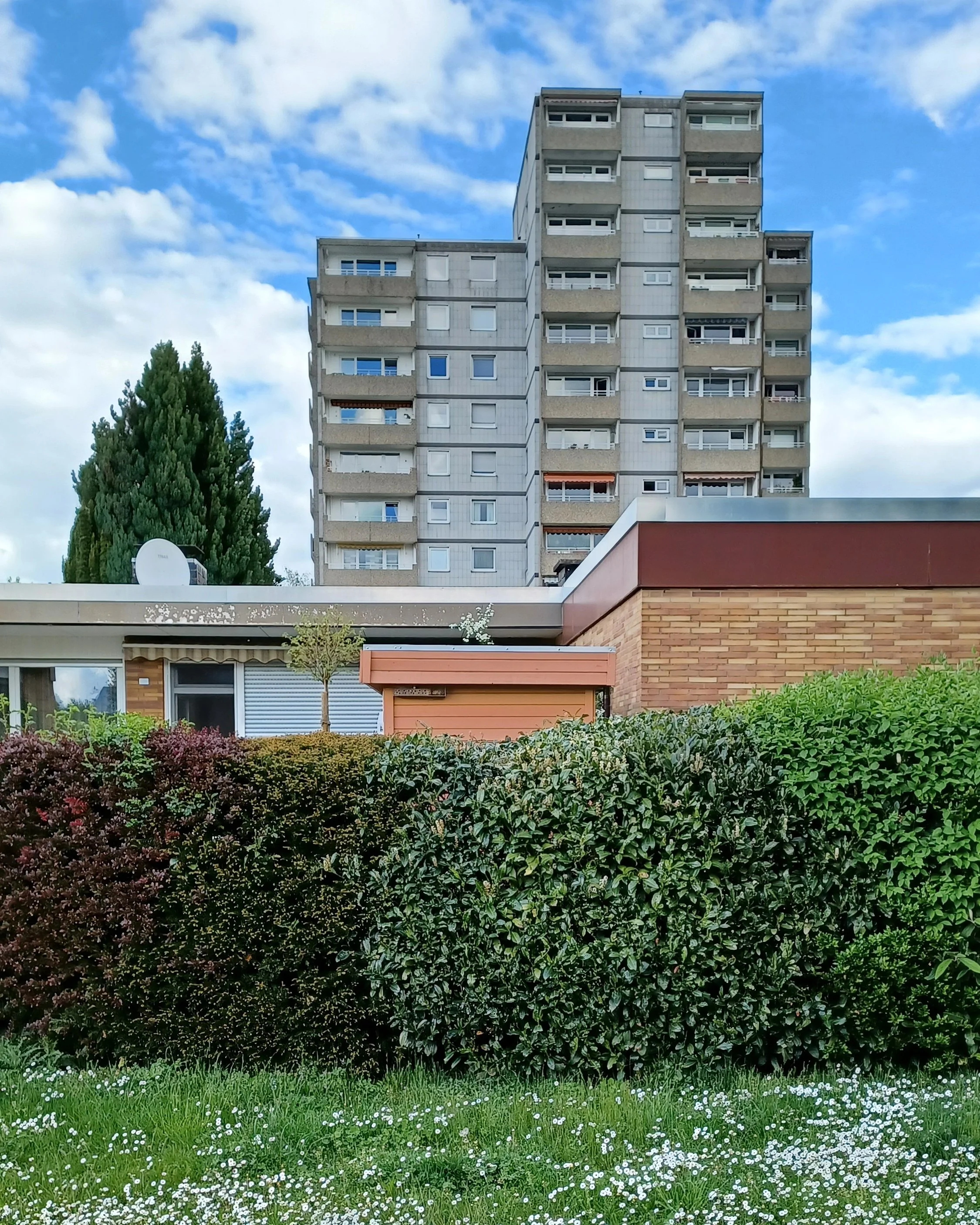 betontulpen HEIMAT (22).jpg