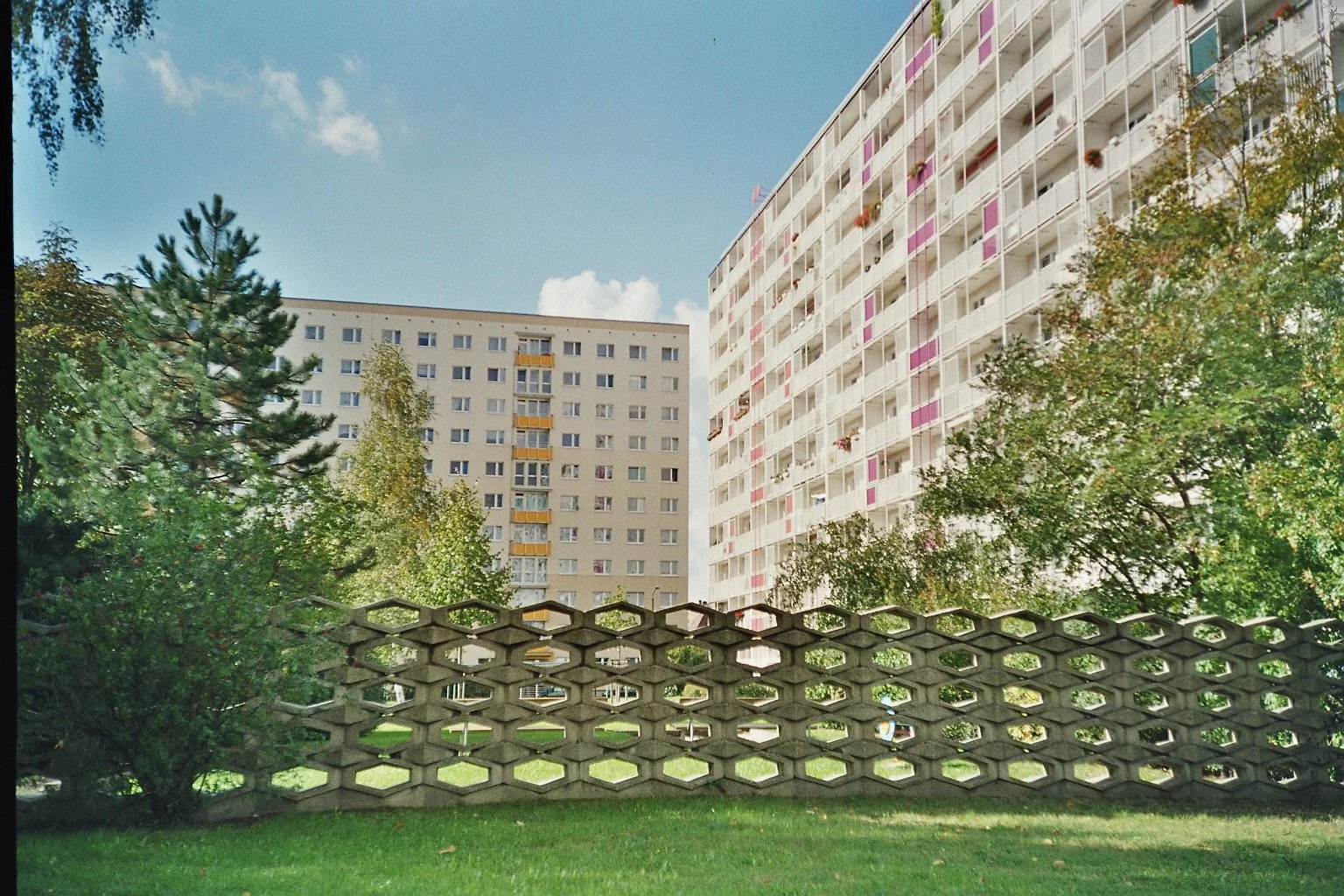 betontulpen VINTAGE (4).jpg