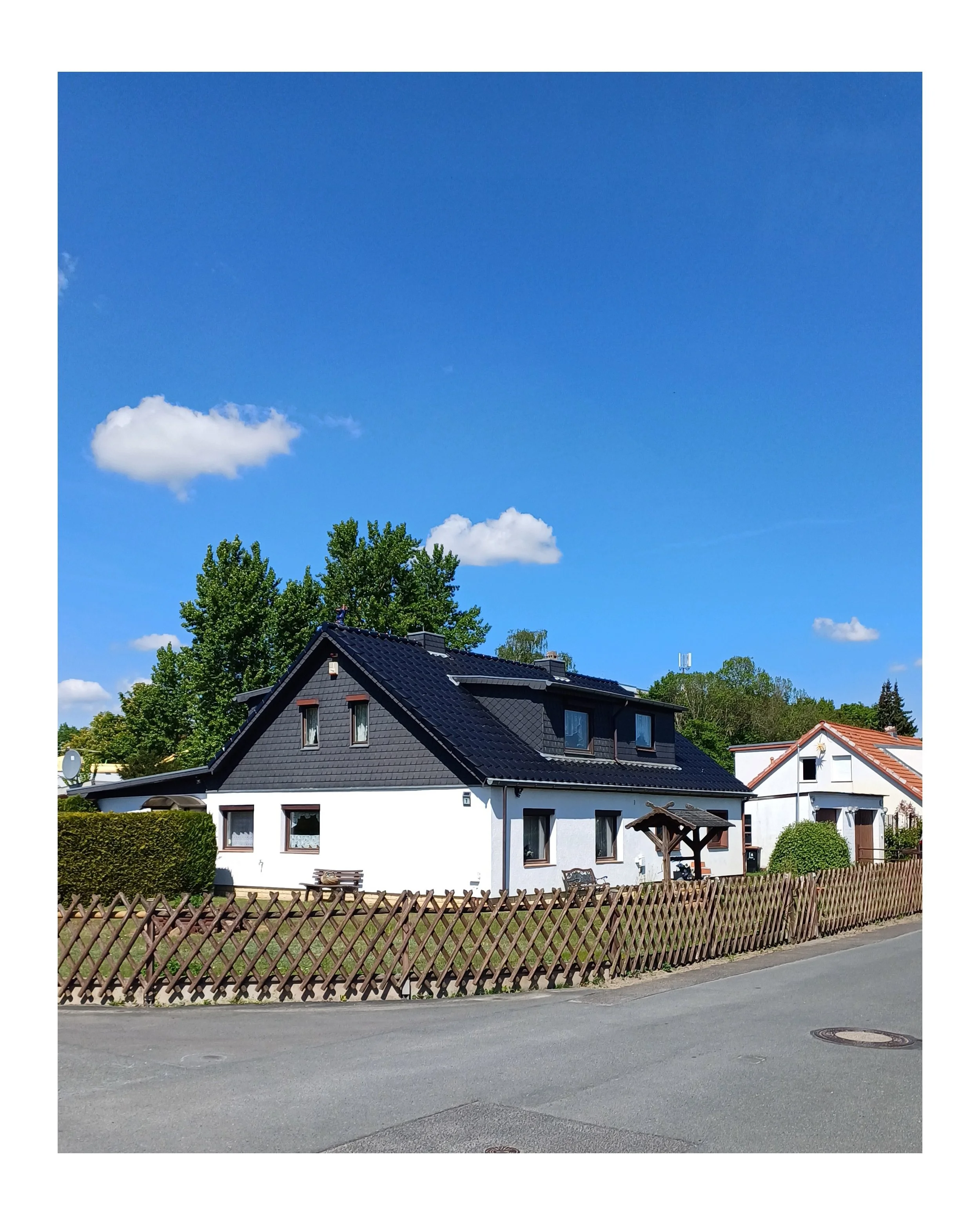 IMG_2025_06_26_am jägerzaun.jpg