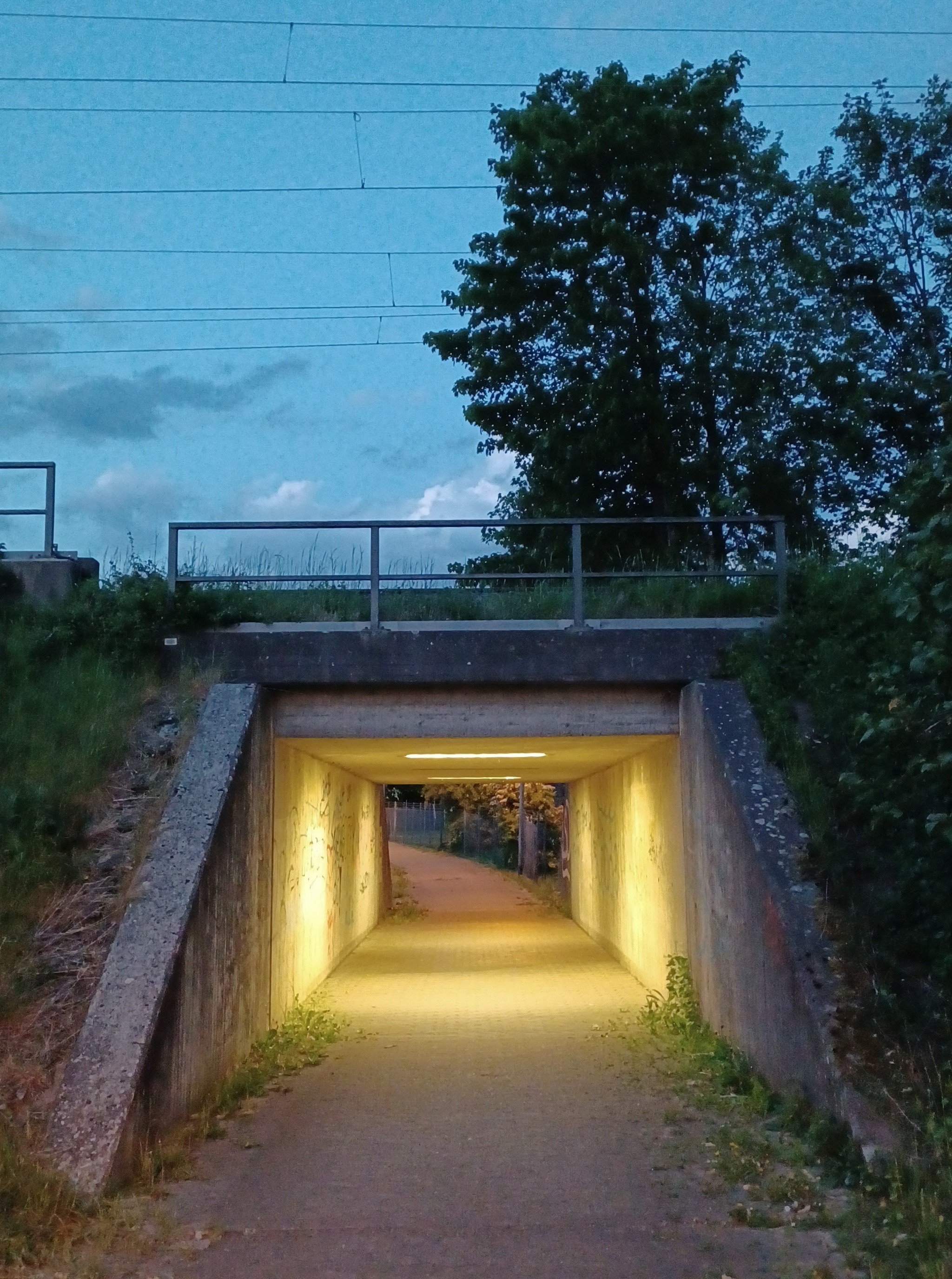 betontulpen SOLITUDE (4).jpg