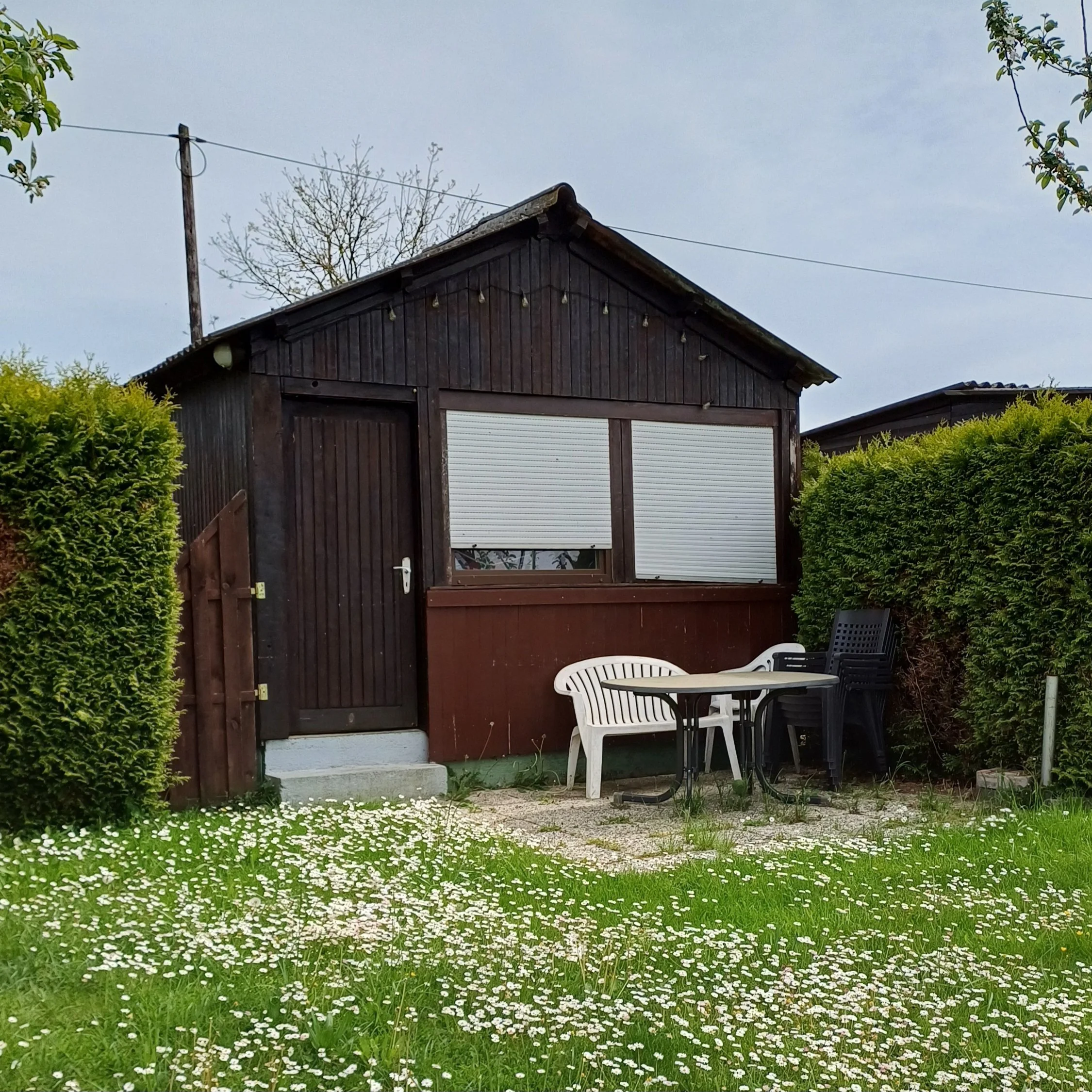 betontulpen HEIMAT (7).jpg