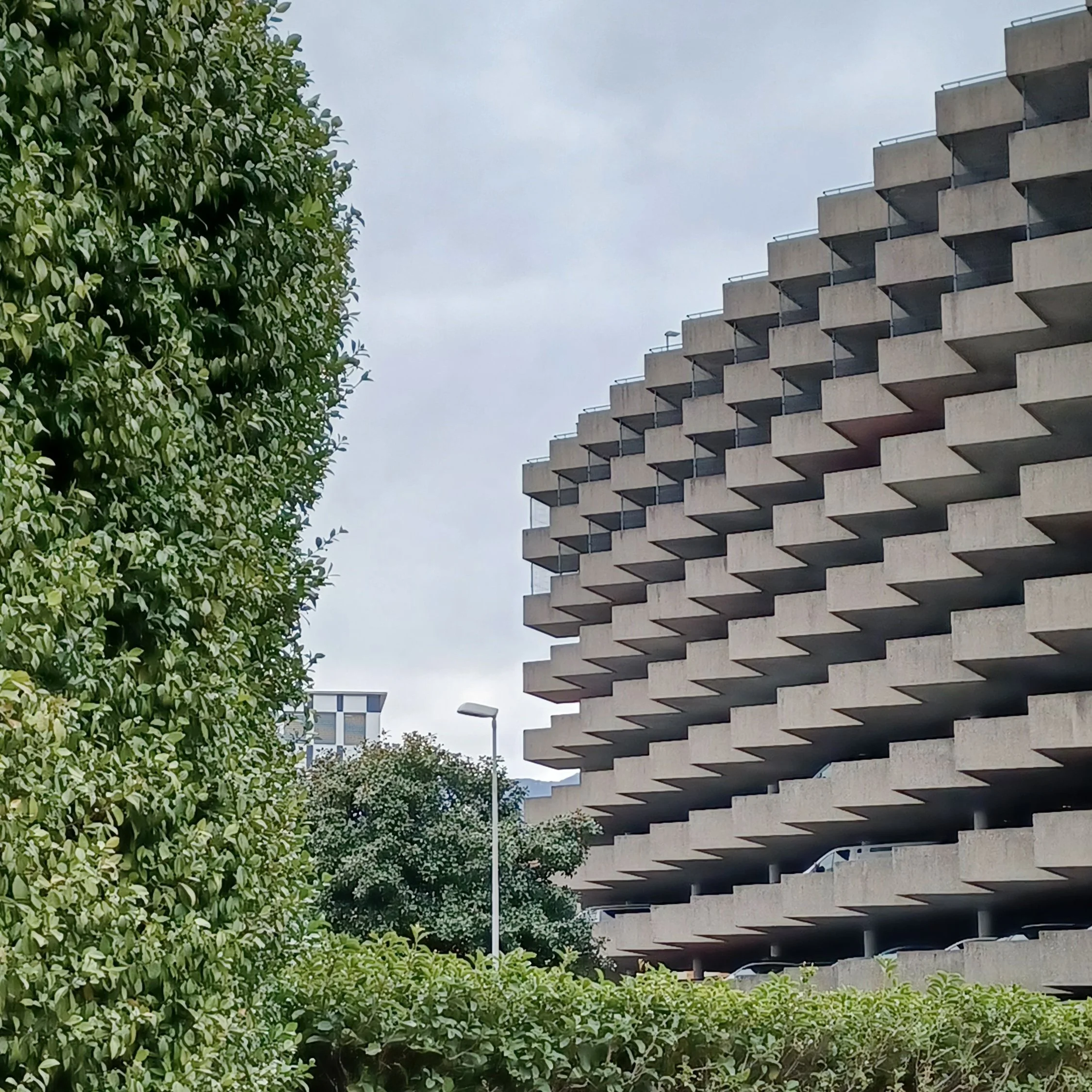 20220301_brutal vs green.jpg