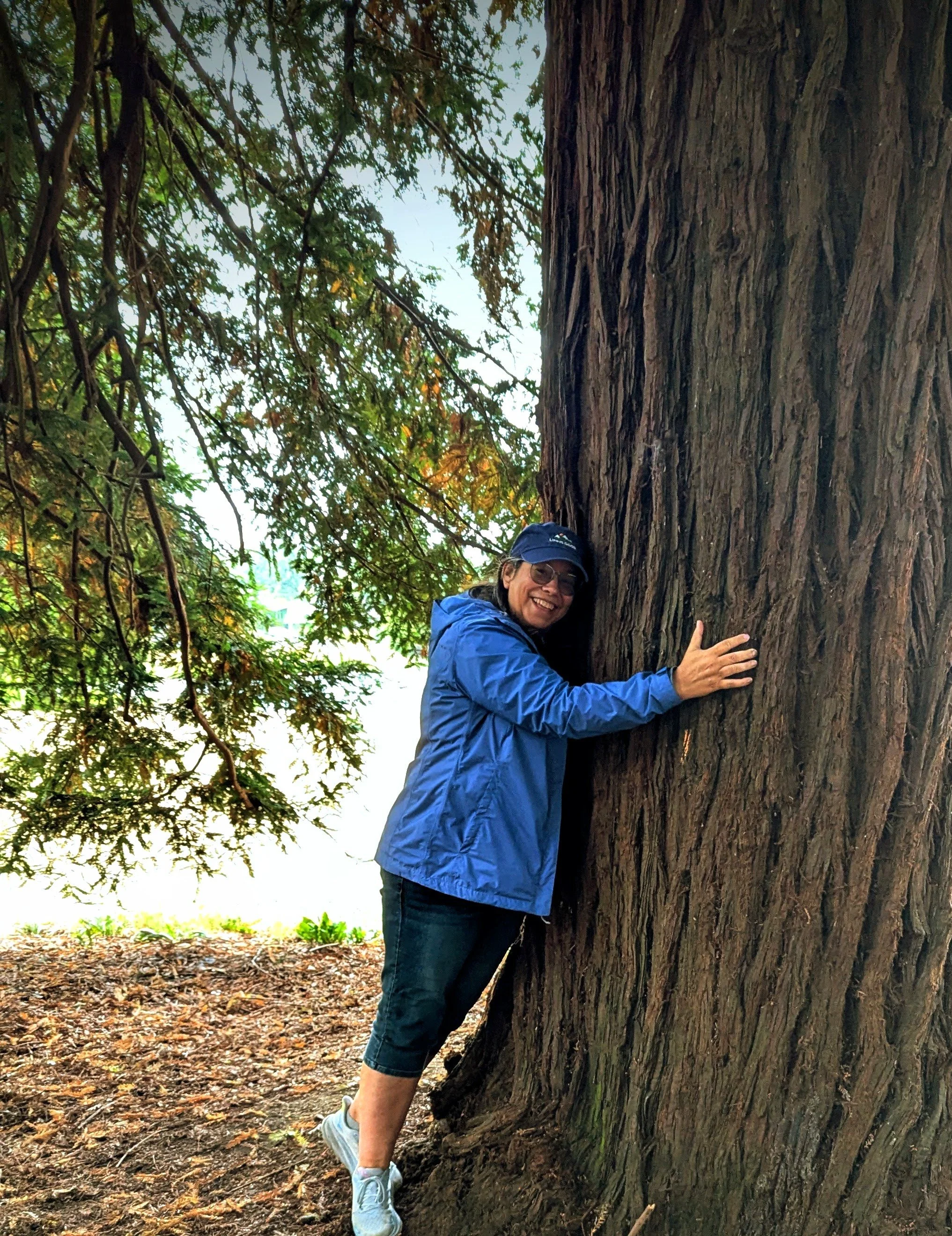 A woman hugging a large tree outdoors, wearing a blue jacket, baseball cap, glasses, and smiling.