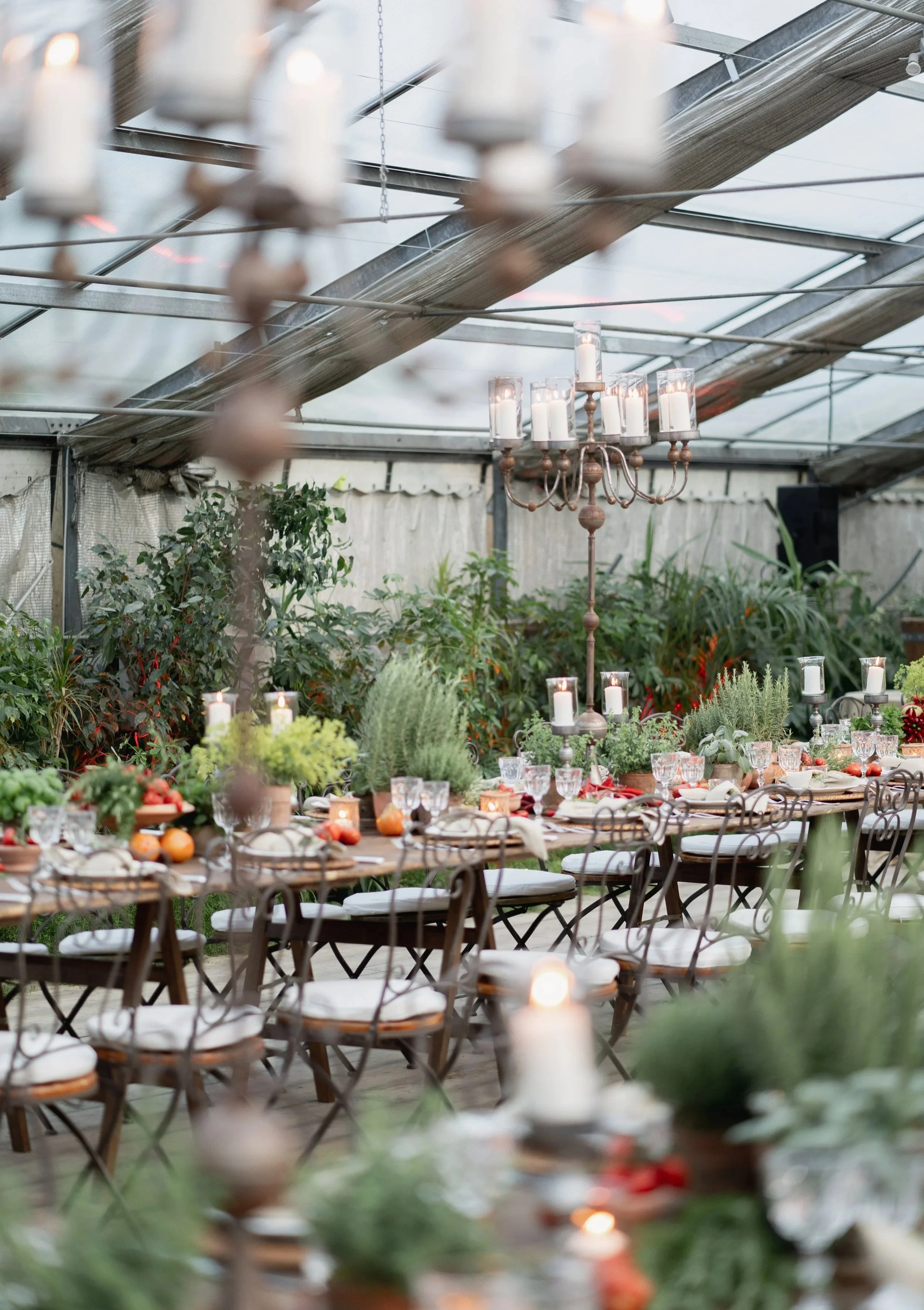 A long dining table decorated with plants, candles, and table settings inside a greenhouse with a chandelier hanging from the ceiling in Tuscany at Serre Torrigiani Bistrot