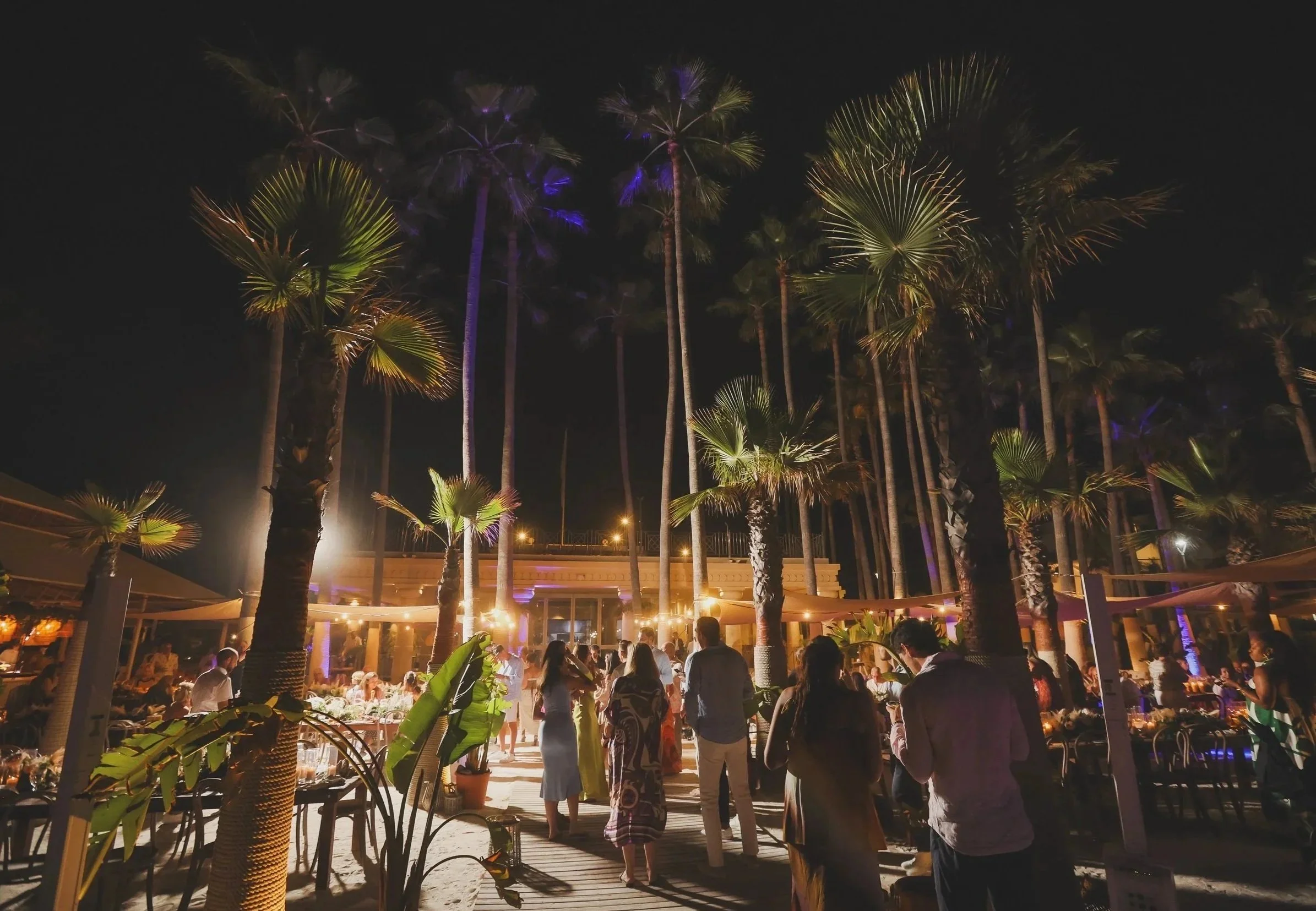Night scene with tall palm trees illuminated by colored lights, and a crowd of people gathered at an outdoor event with string lights overhead.