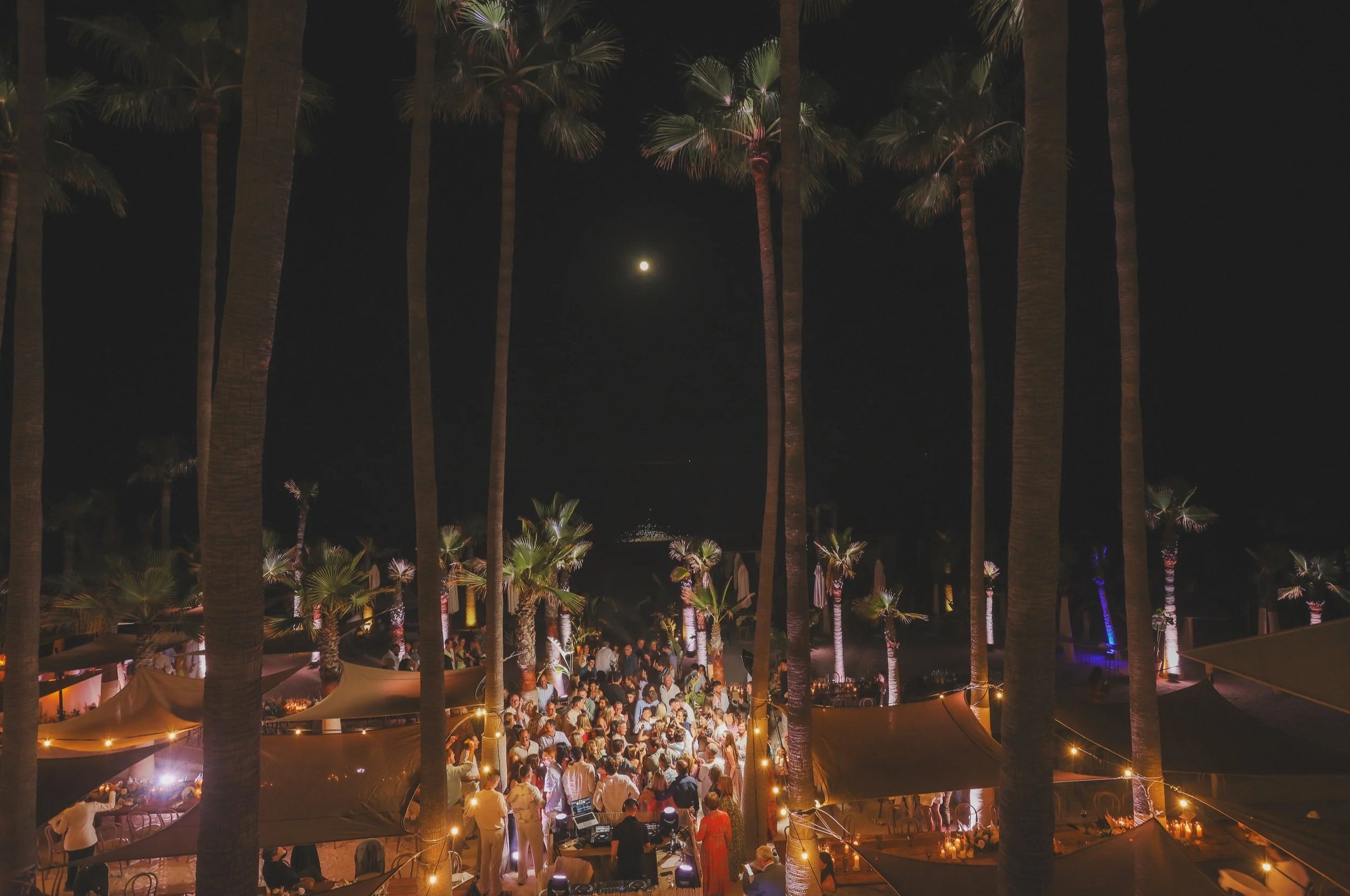 Night scene featuring tall palm trees with a full moon in the sky, a large crowd gathered at what appears to be an outdoor event, with tables, chairs, and decorative string lights illuminating the area.