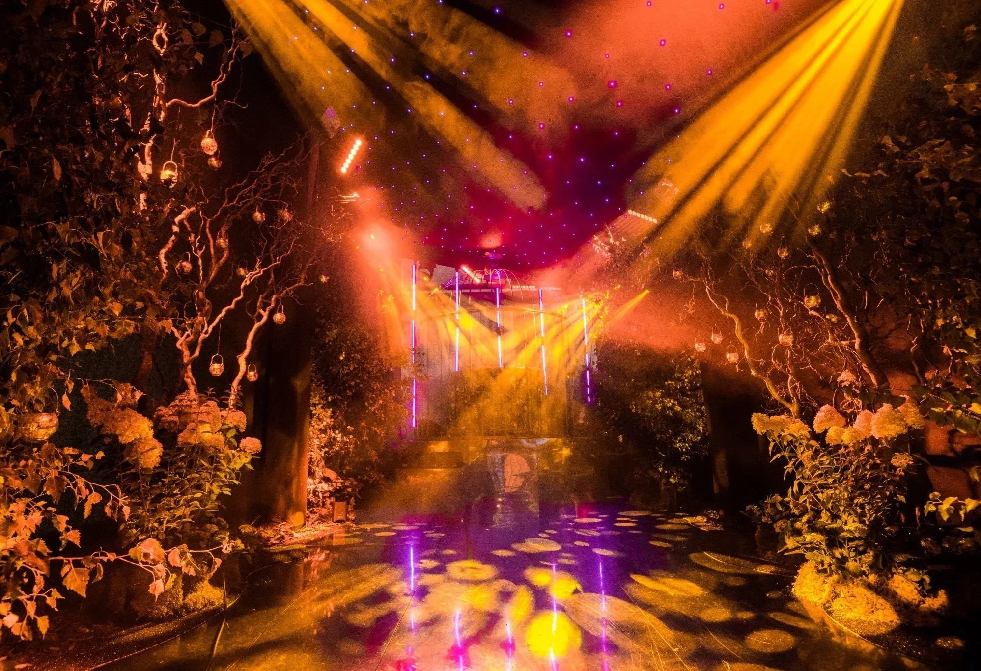 Nighttime outdoor scene with illuminated trees, hanging lanterns, and colorful light beams and dots overhead, reflecting on a water surface below.