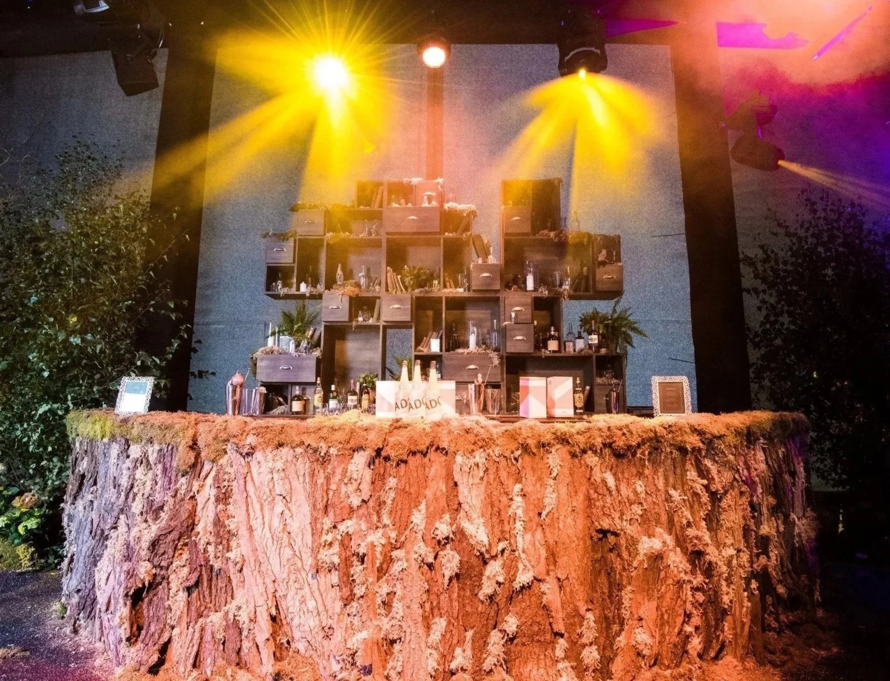 A stage set up on a large tree stump with decorated shelves and bottles, illuminated by colorful yellow, purple, and pink spotlights, in an outdoor setting at night.