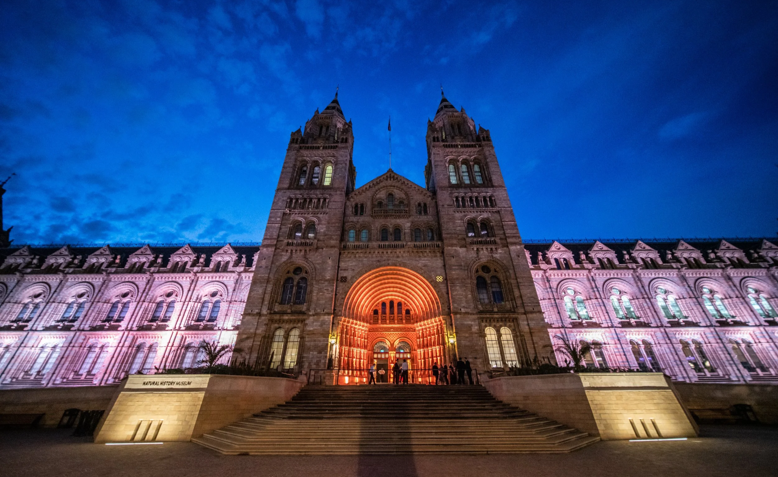 The Natural History Museum building illuminated with pink and purple lighting at night, with a blue sky overhead. The entrance is brightly lit with a curved design, and there are steps leading up to it. Several people are standing near the entrance.