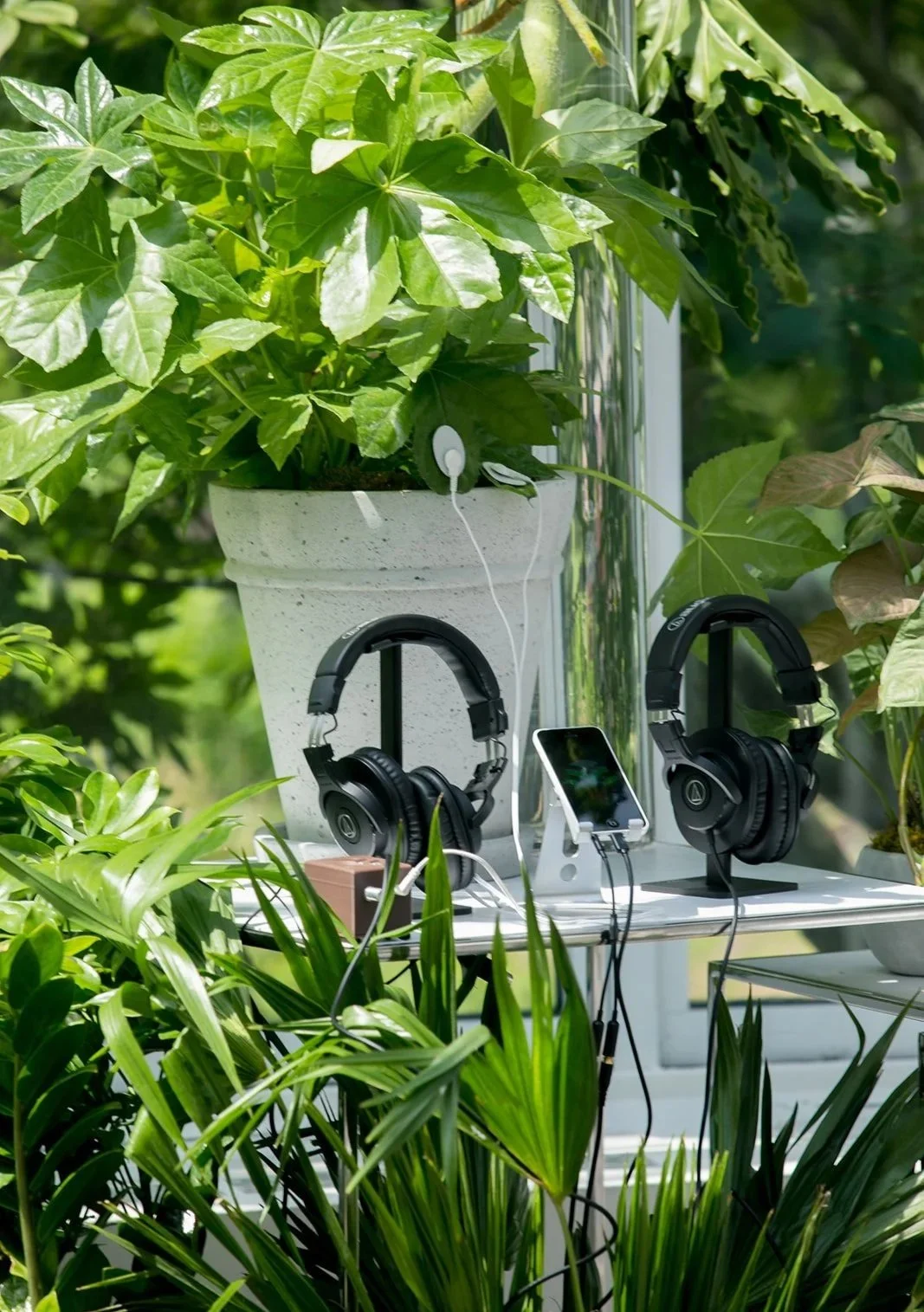 Indoor outdoor scene with greenery, headphones, and a smartphone on a stand on a white table.