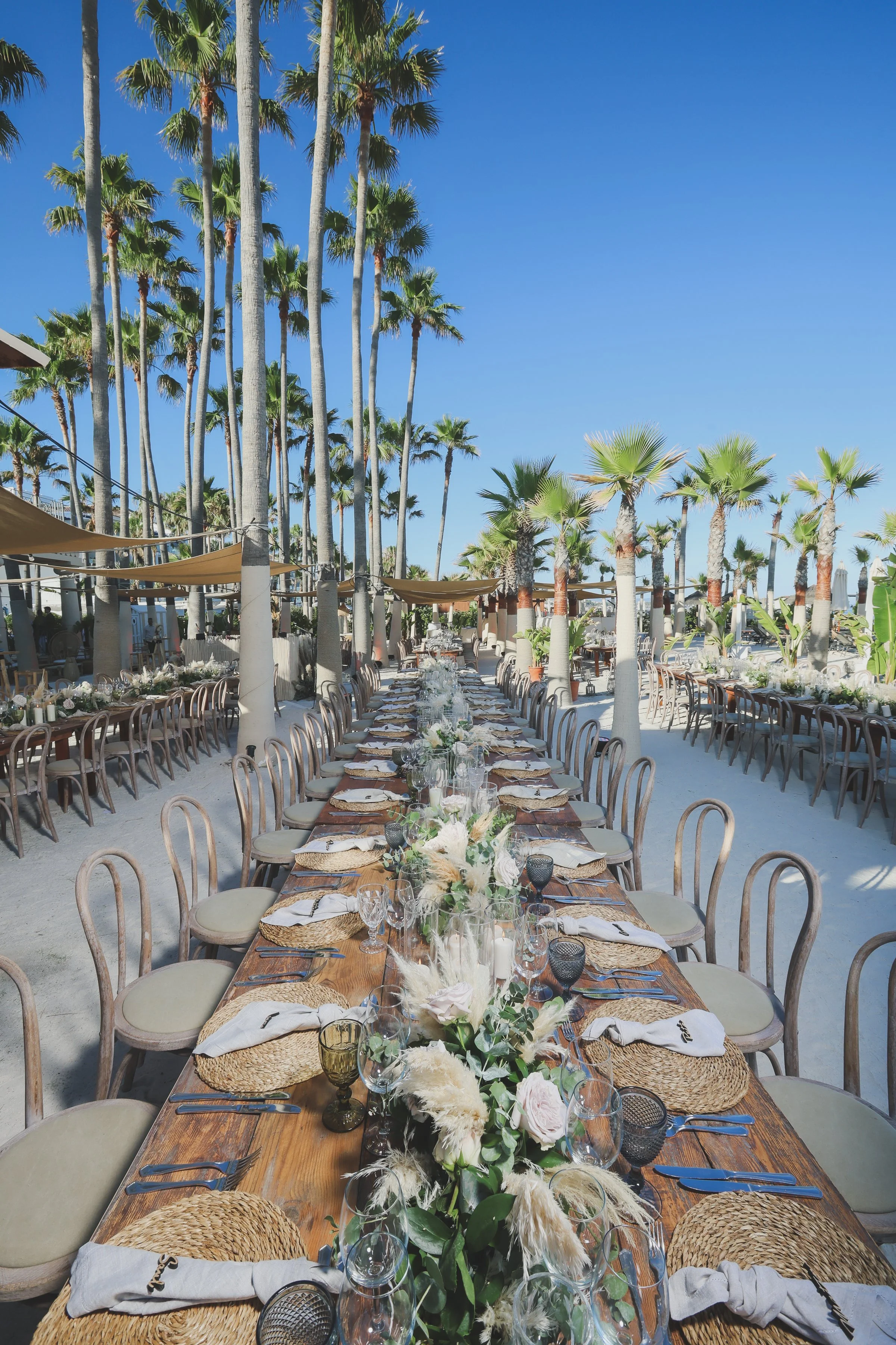 Outdoor dining setup with a long table adorned with floral centerpieces, surrounded by wooden chairs, under tall palm trees and a clear blue sky.