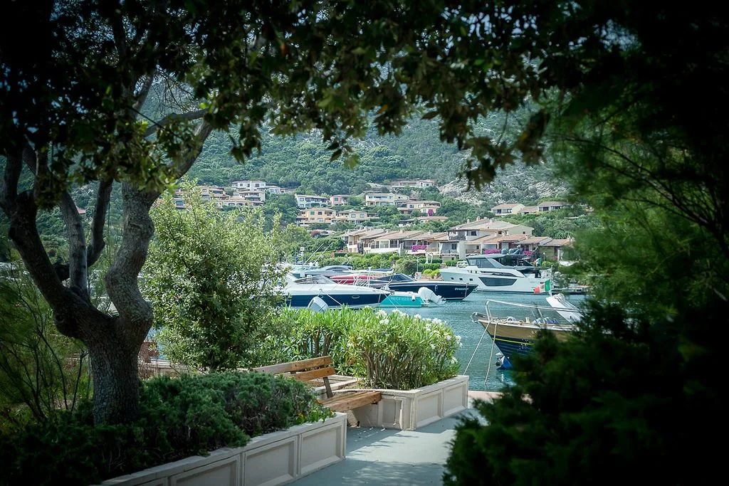 A scenic view of a marina with boats docked, surrounded by lush greenery and residential houses on hills in the background.