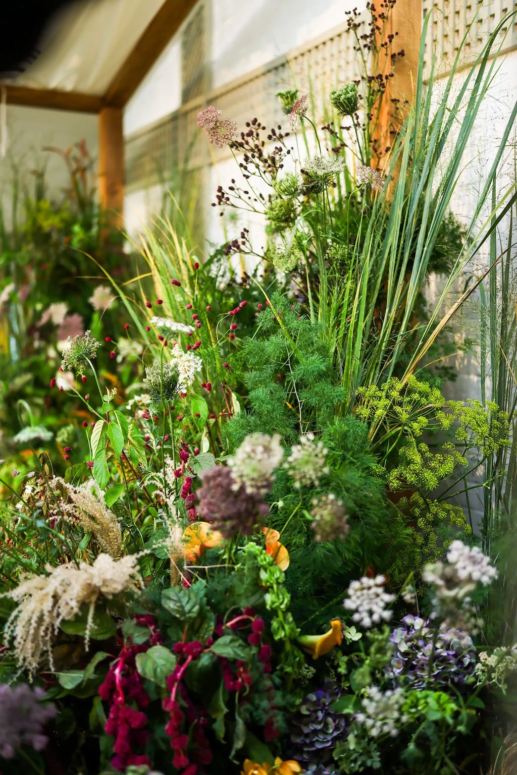 A lush display of various green and colorful flowering plants inside a greenhouse with wooden framing and a white wall in the background.