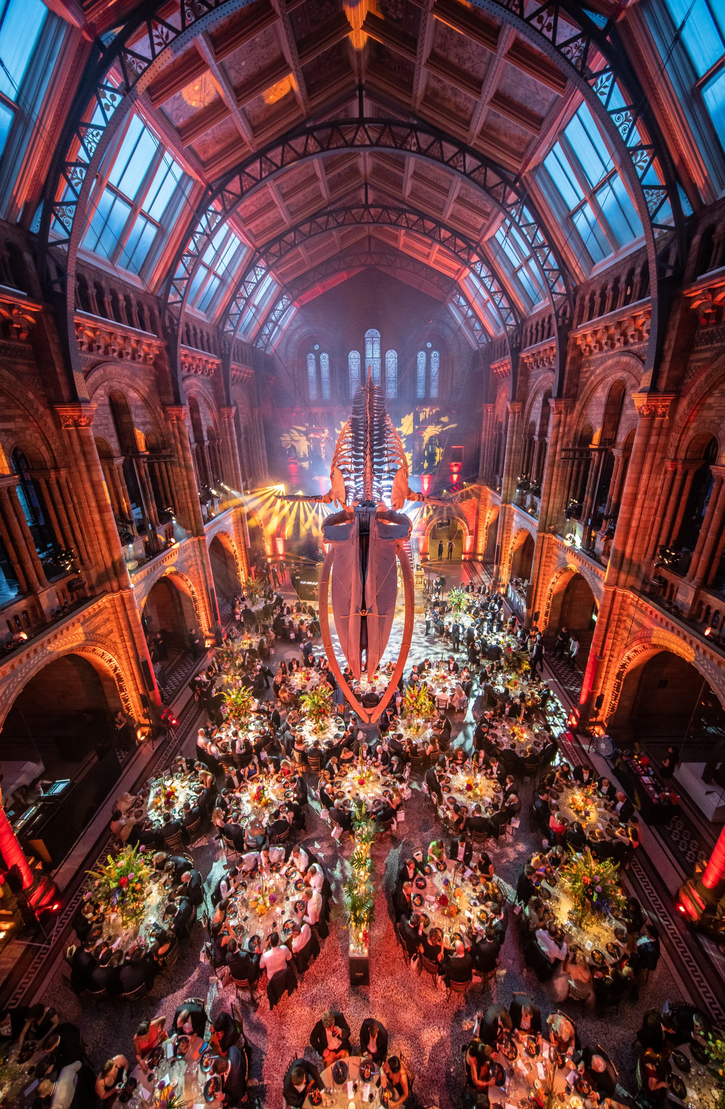 A grand banquet hall decorated vibrantly with high ceilings, arched windows, and a large whale skeleton at the center. Multiple round tables are set for a dinner event with floral centerpieces and many attendees seated at The Natural History Museum