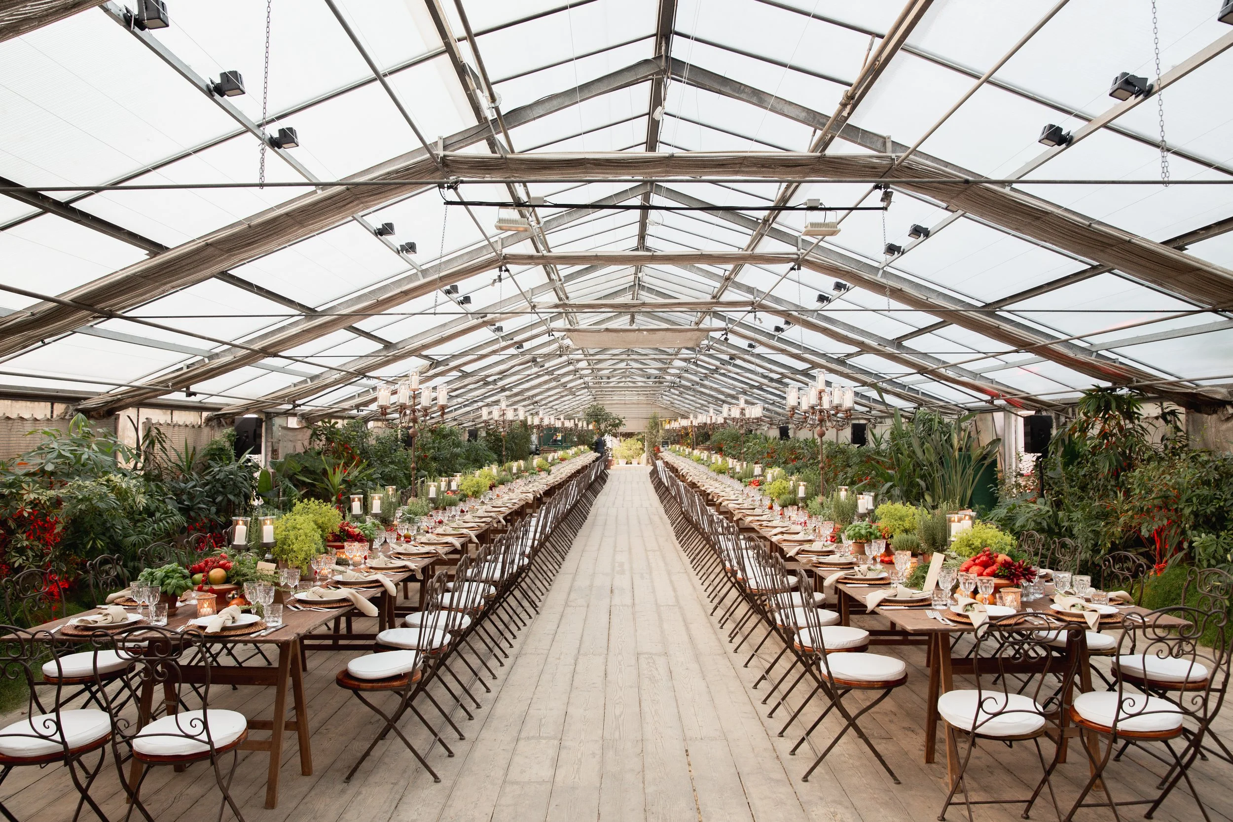 Long banquet table set for a wedding or event inside a greenhouse with plants and flowers, decorated with candles, and elegant tableware  in Tuscany at Serre Torrigiani Bistrot