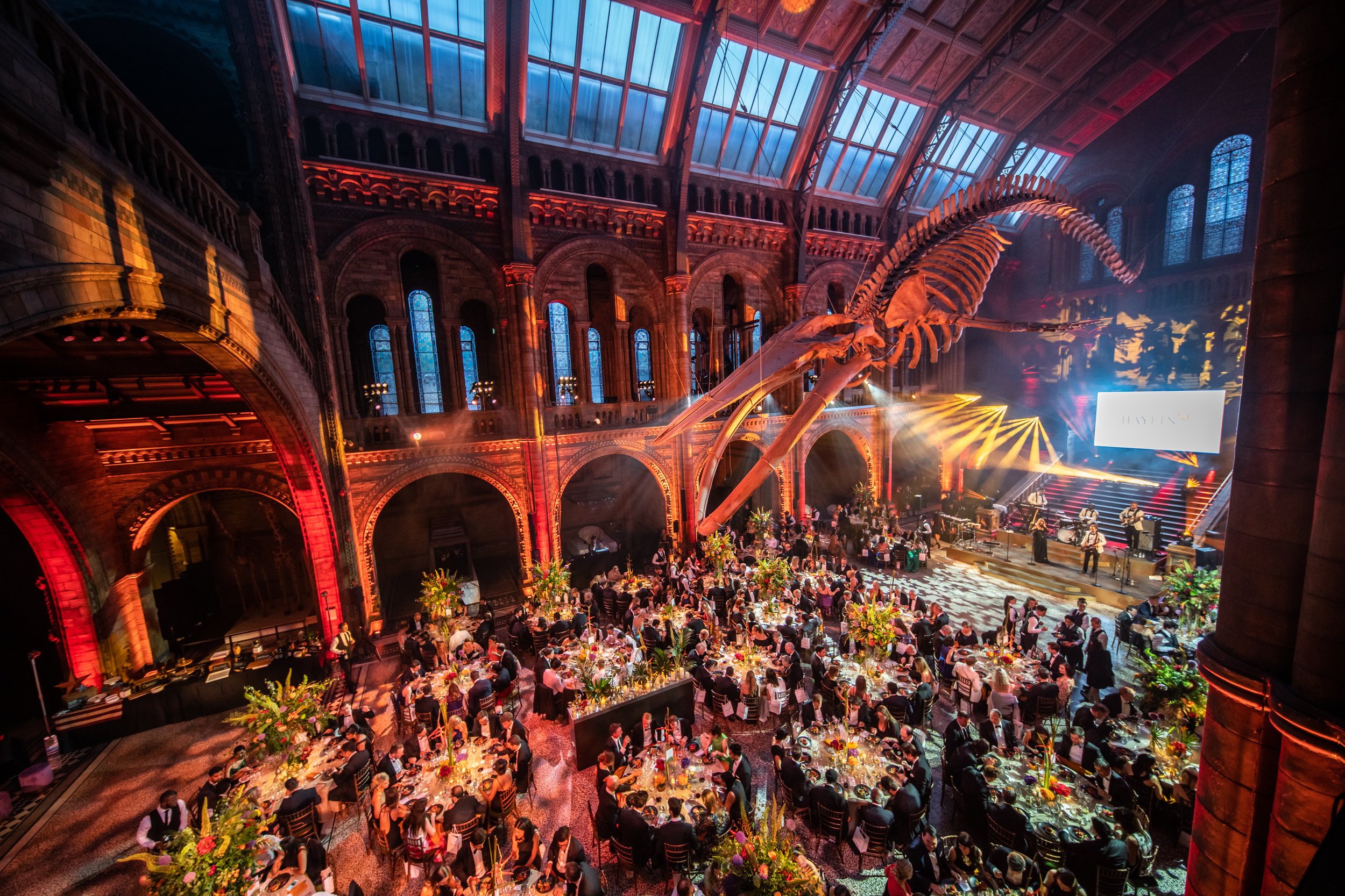 The Natural History Museum is filled with round tables decorated with flowers, and many guests are seated, enjoying a corporate event. A large skeleton of a whale or marine creature of The Natural History Museum