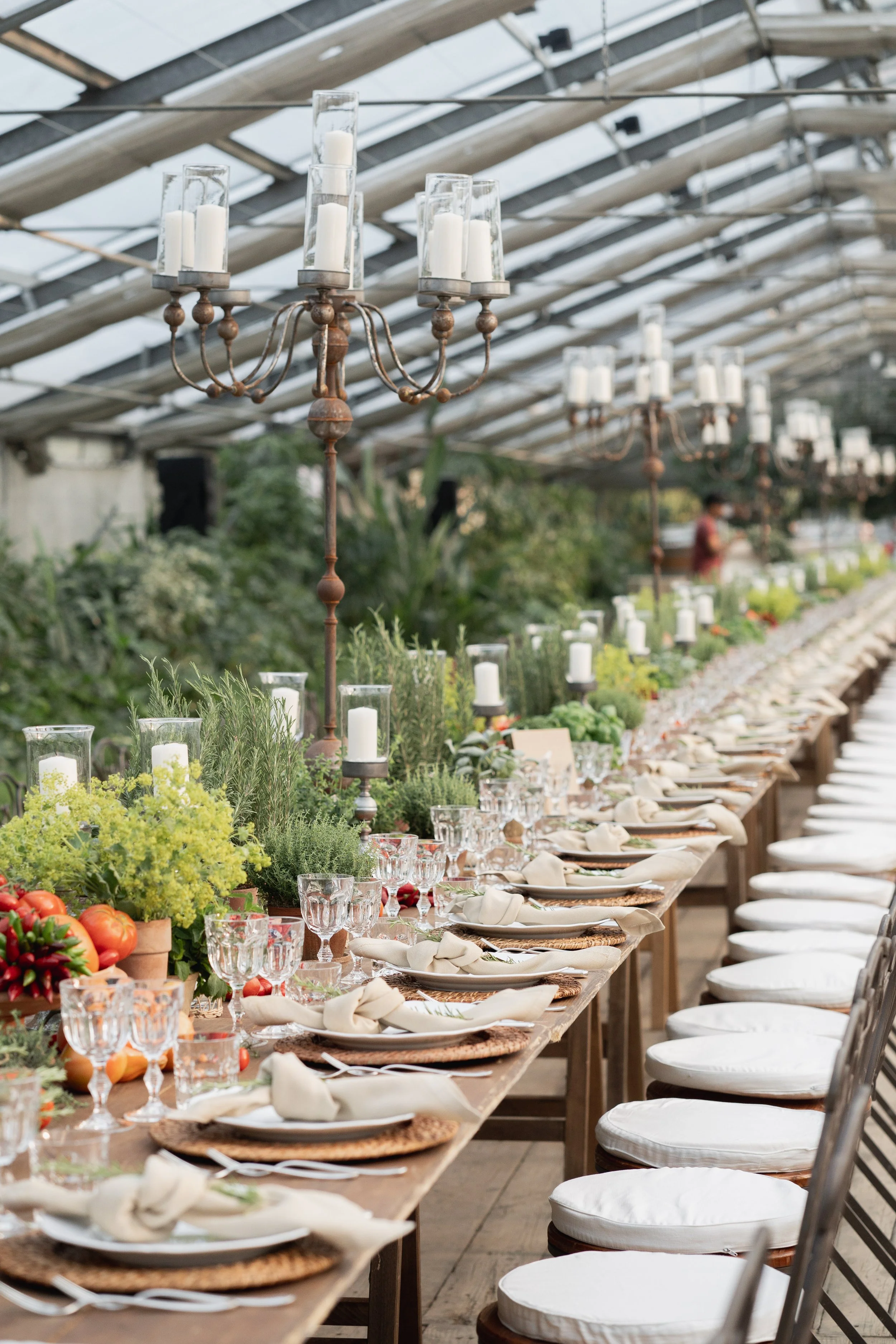 Long dining table set with white chairs, beige napkins, glassware, and plates, decorated with greenery and fresh vegetables, in a greenhouse setting with chandeliers hanging from the ceiling. Venue is in Tuscany at Serre Torrigiani Bistrot