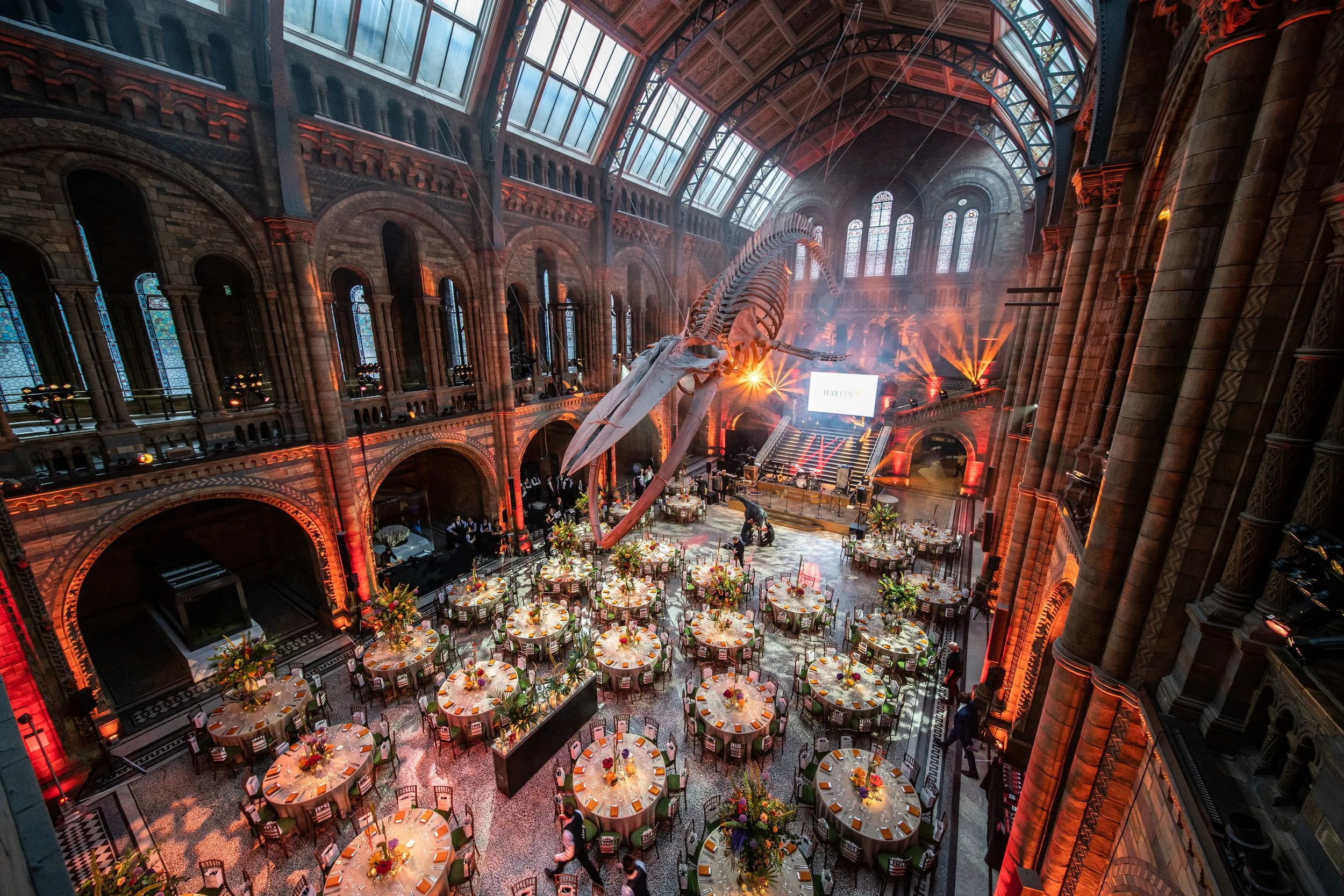 The Natural History Museum Grand hall decorated for an corporate event with round tables, floral centerpieces, and an orca skeleton display under a high glass ceiling with stained glass windows.