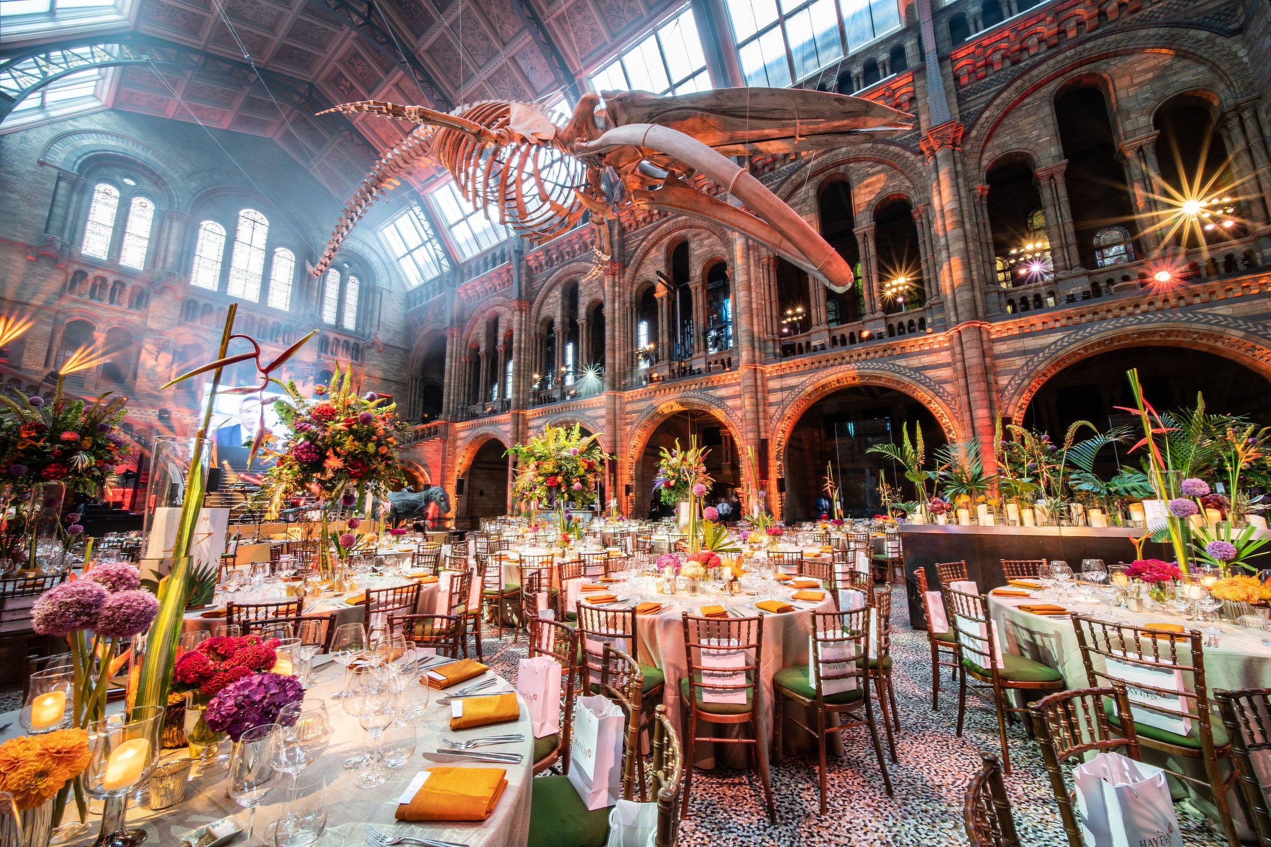 A large hall with stained glass windows and a high ornate ceiling, decorated for a formal event with round tables, floral centerpieces, candles, glasses, and utensils at The Natural History Museum