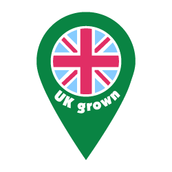 A green map marker icon with a stylized Union Jack flag inside and the text 'UK grown' at the bottom.