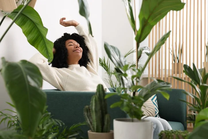 A woman relaxing on a green couch surrounded by various large green houseplants, enjoying a moment of peace with eyes closed and arms raised.