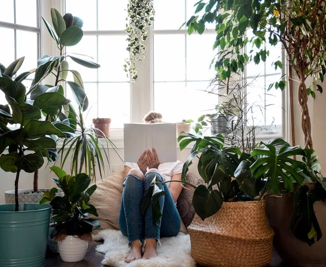 Person sitting on a beige cushion on the floor, reading a book, surrounded by large green houseplants near a window.