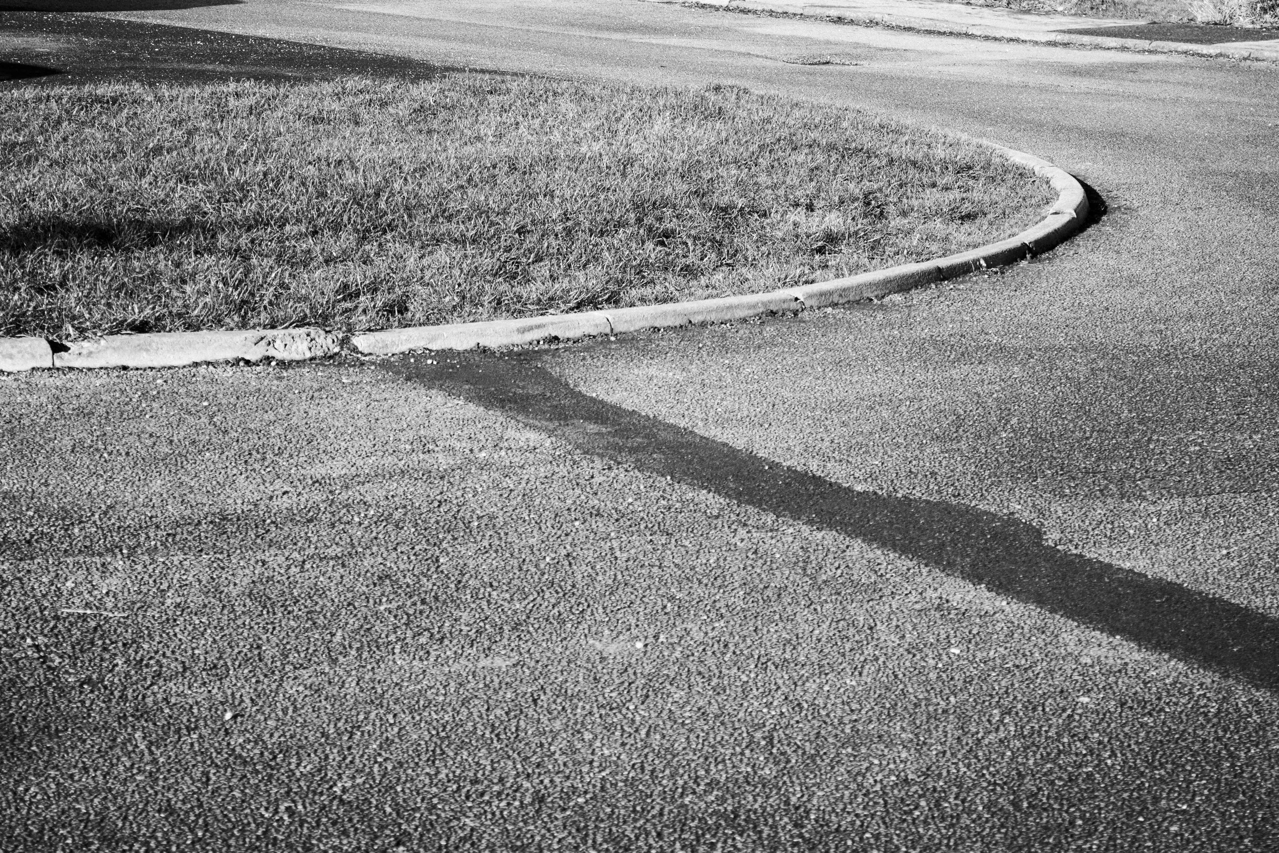 IMG_0340-Enhanced-NR copy.jpg