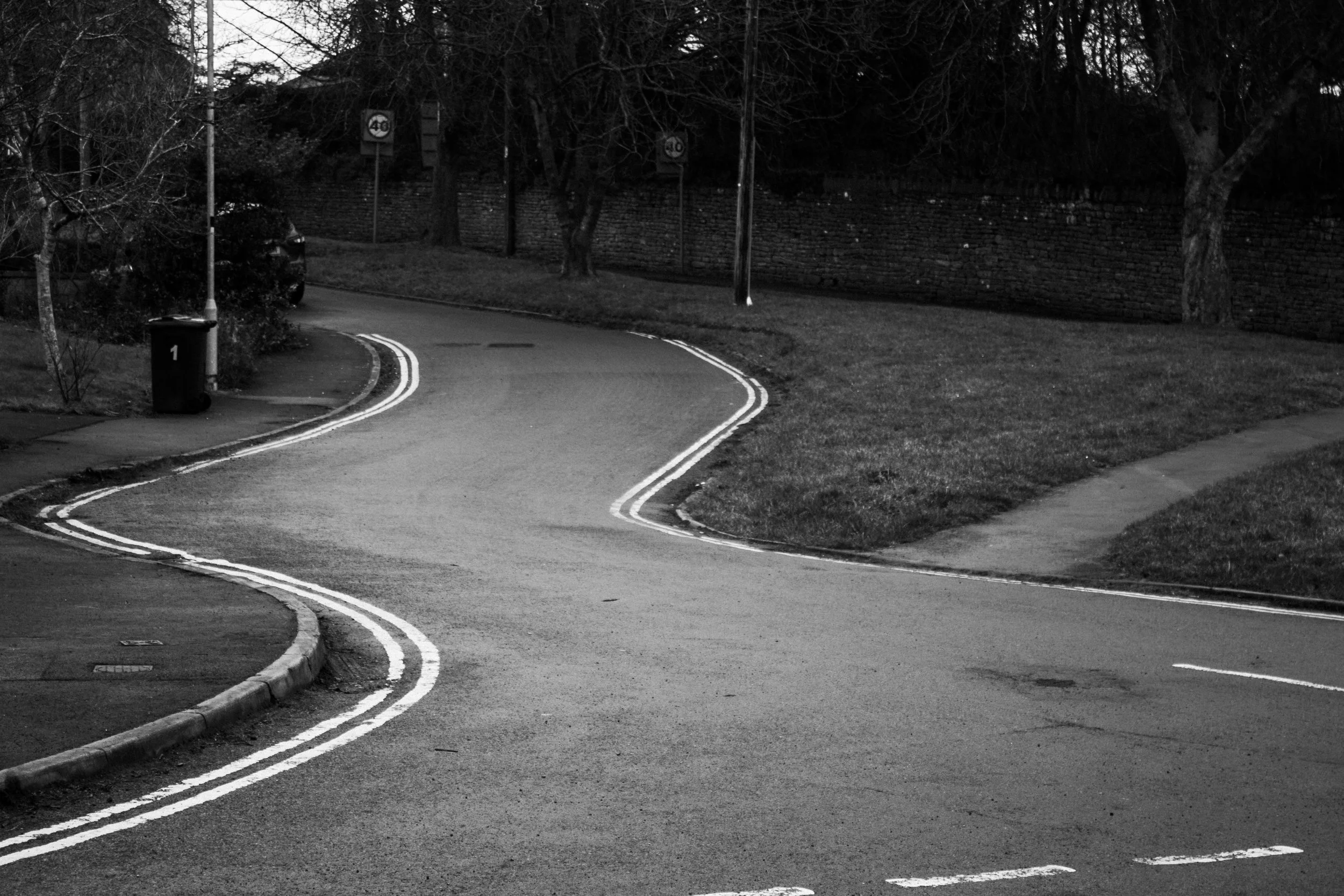 IMG_0083-Enhanced-NR copy.jpg