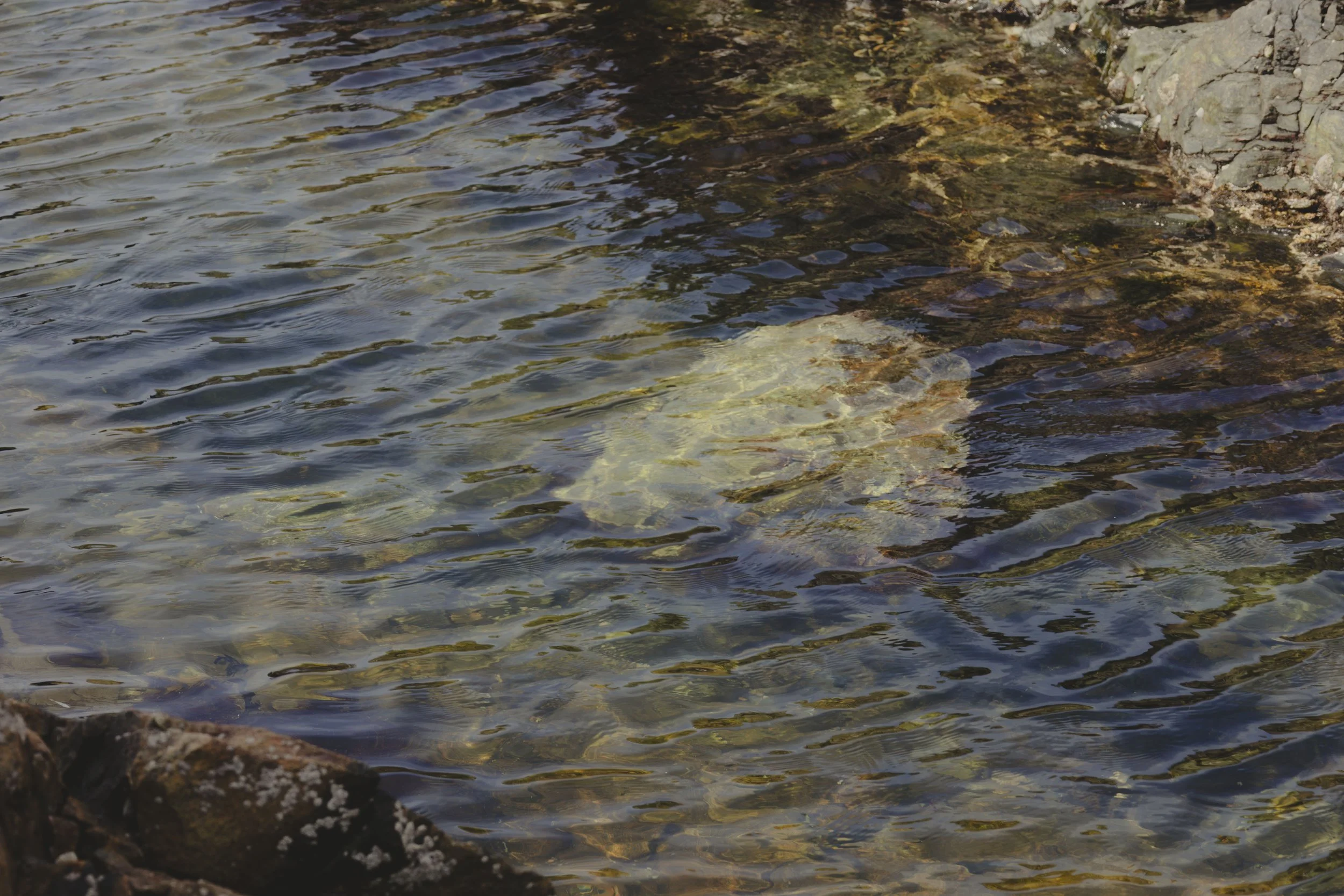 5B2A0783 copy (1).jpg