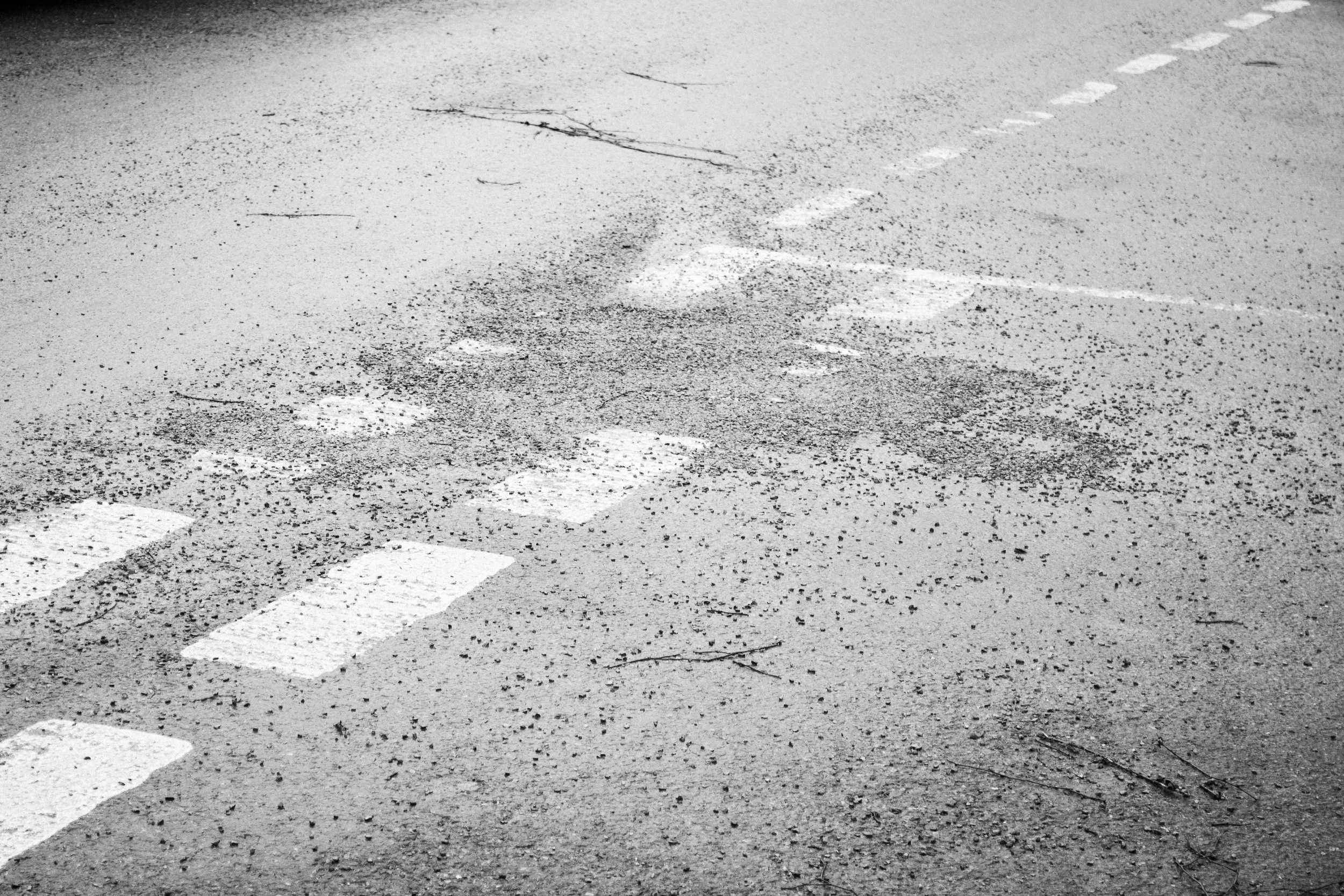 IMG_0125-Enhanced-NR copy.jpg