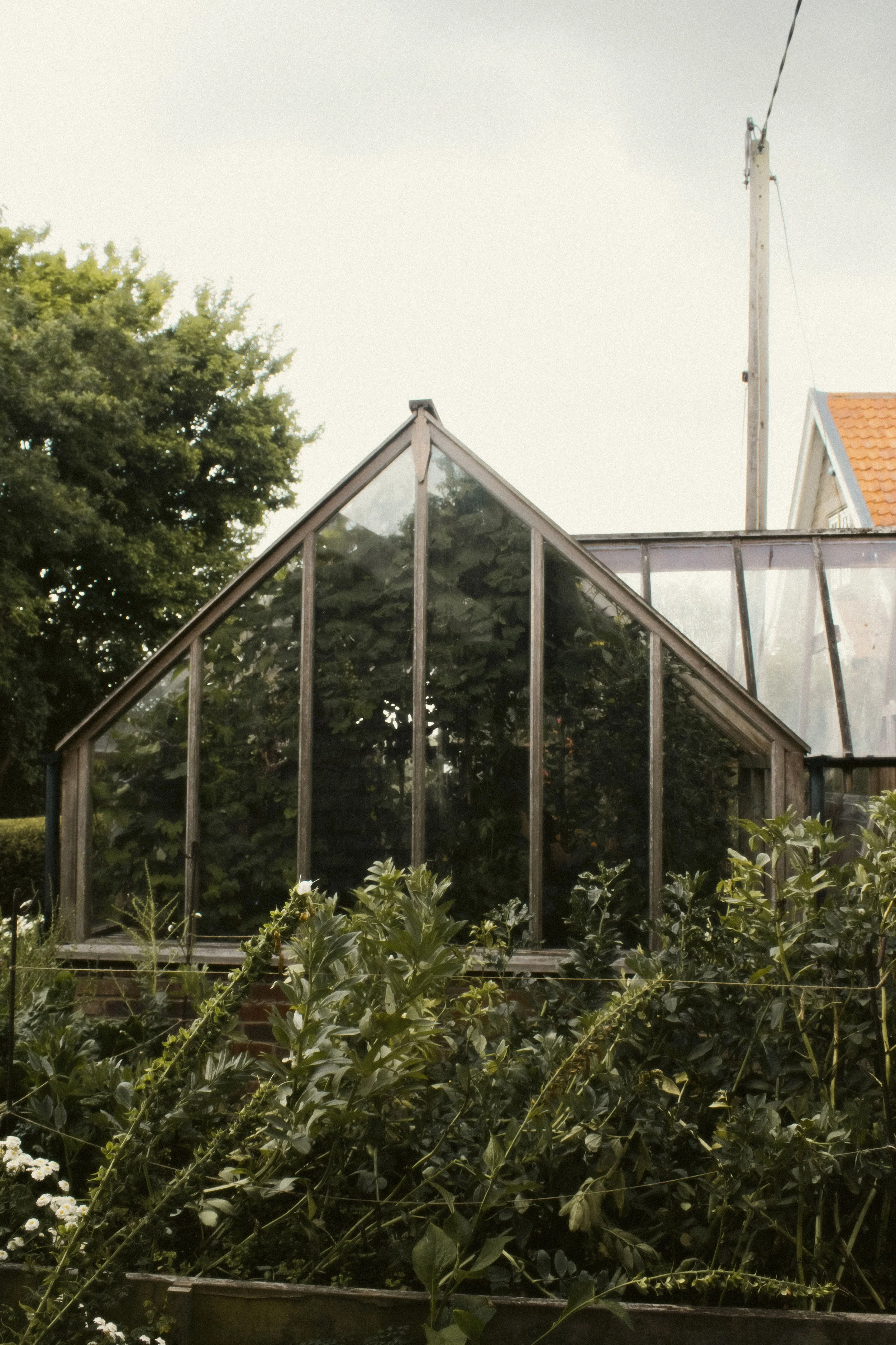 Grandad's Greenhouse. 2025.