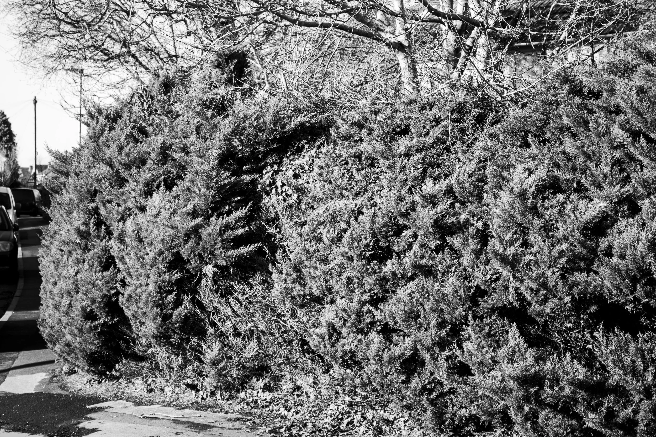 IMG_0329-Enhanced-NR copy.jpg