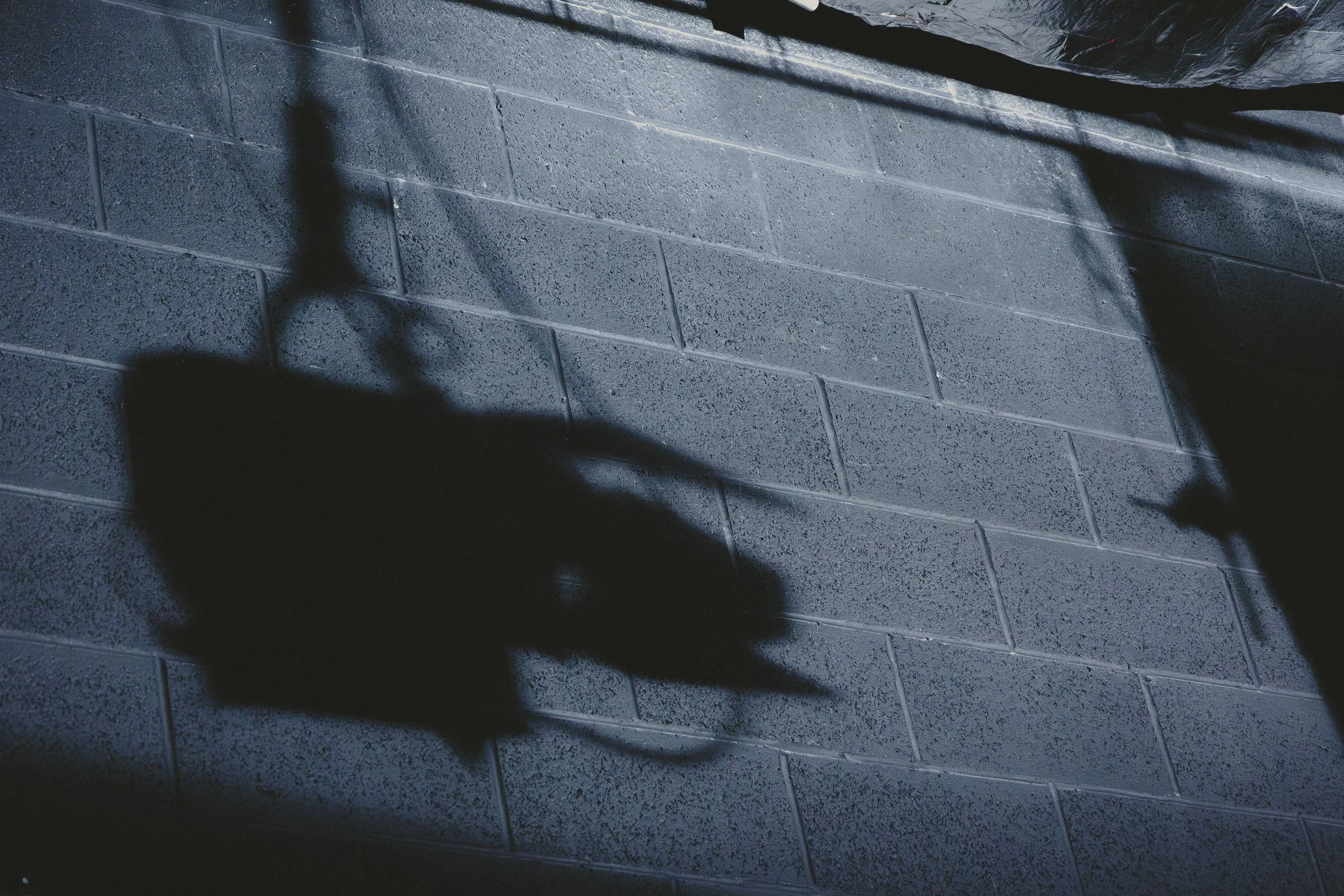 Film BTS - Will. 2025.