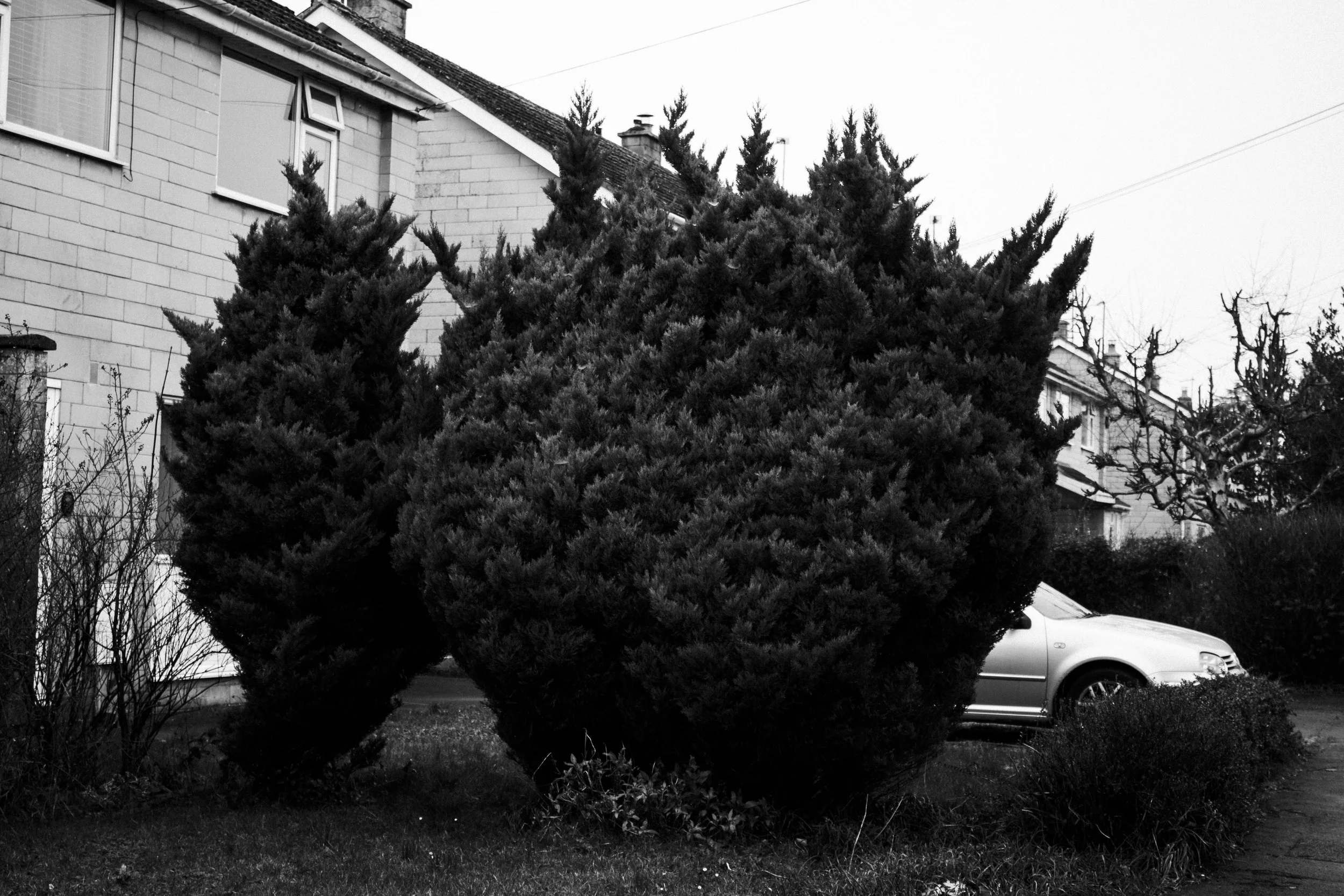 IMG_0070-Enhanced-NR copy.jpg