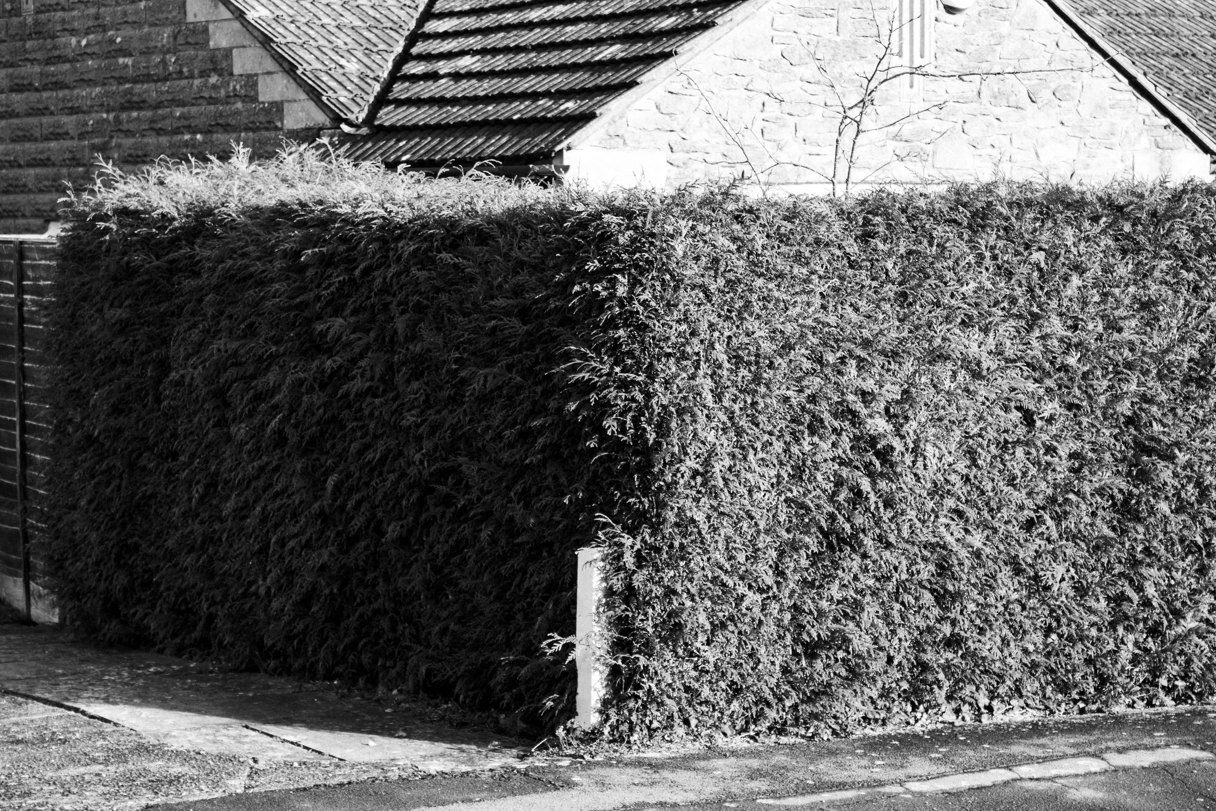 IMG_0155-Enhanced-NR copy.jpg